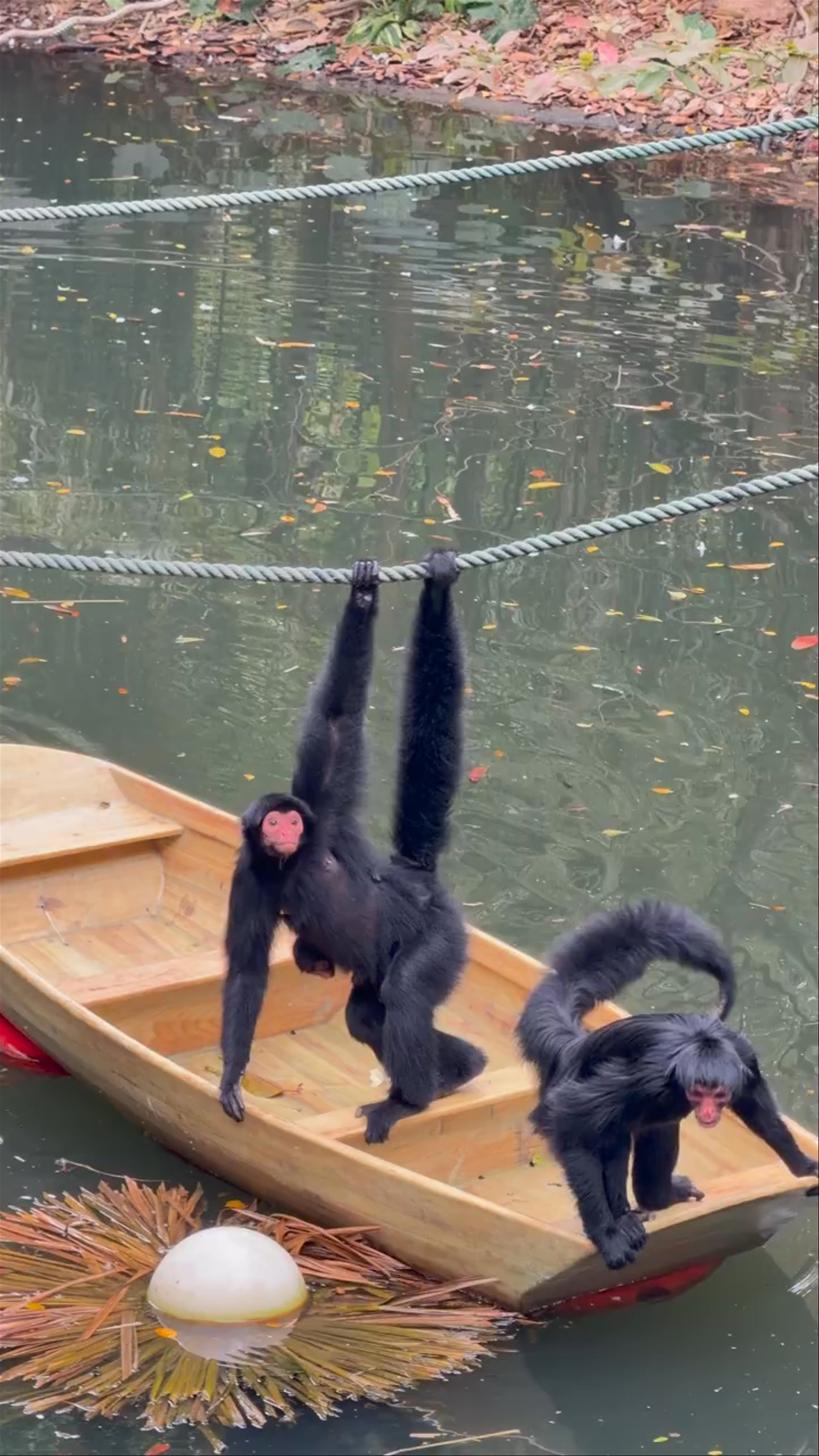 Jinan Zoological Park