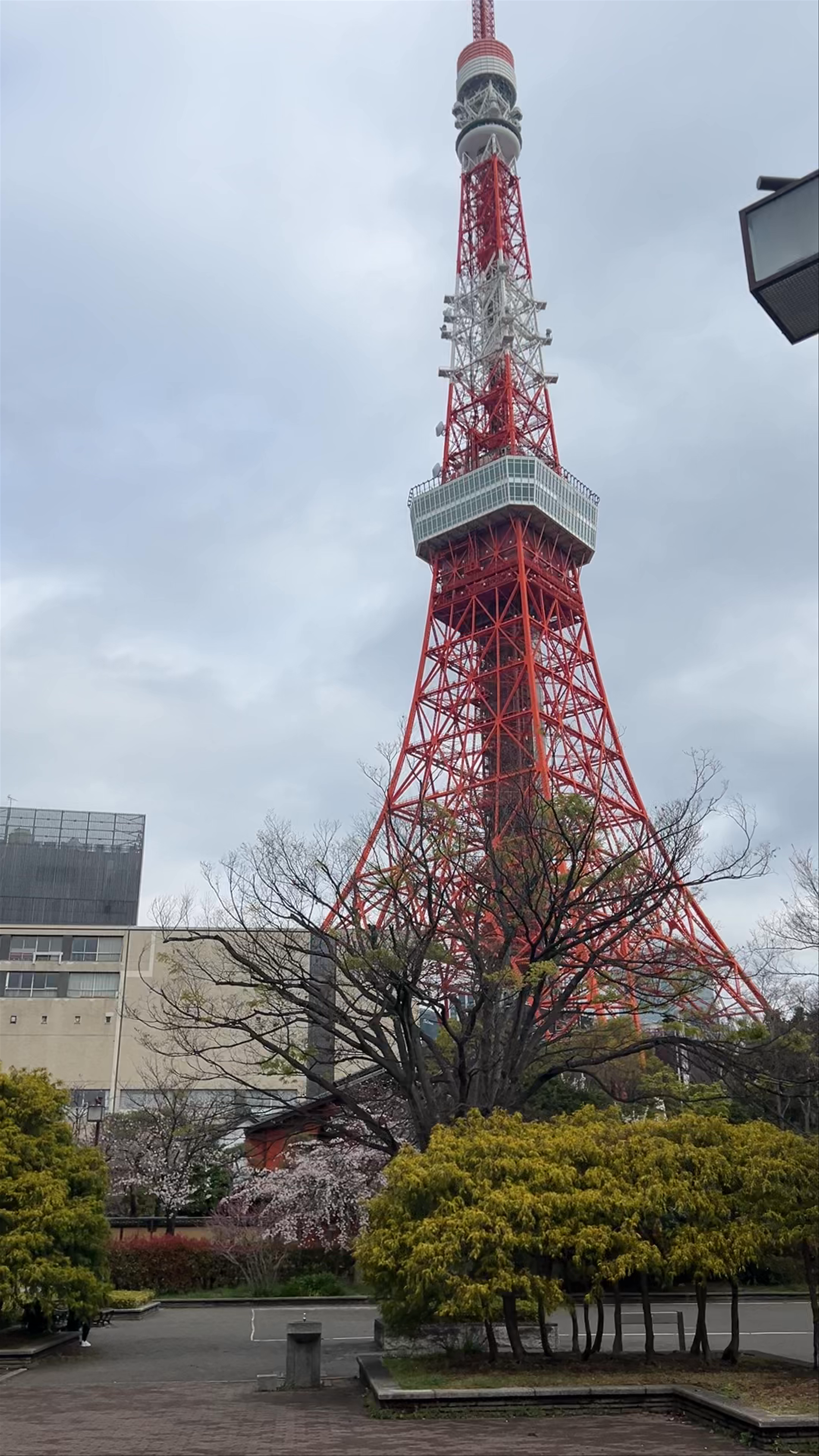 Tokyo Tower Experience: Iconic Urban Landmark and Serene Park Life