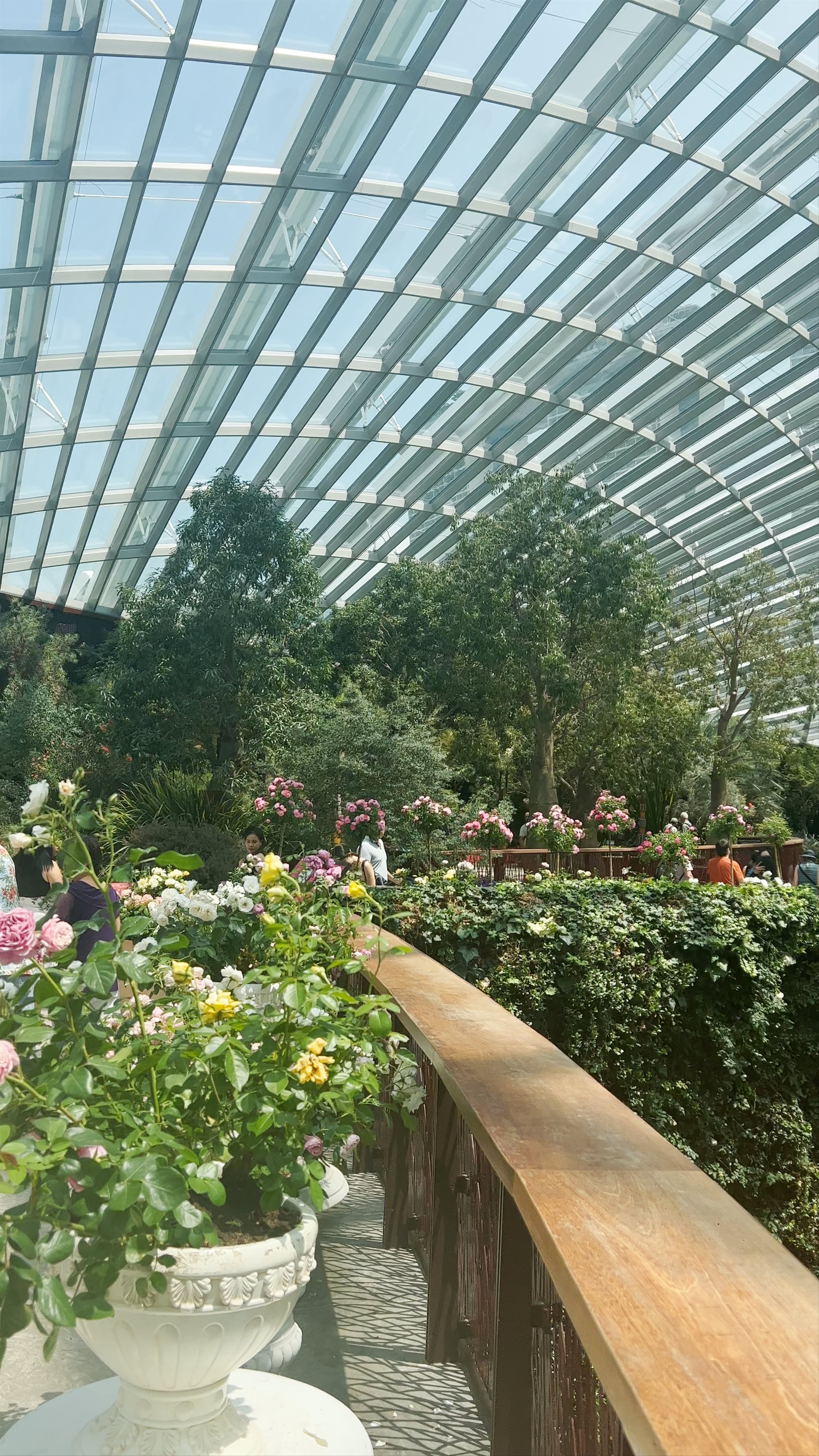 Marina Gardens Drive