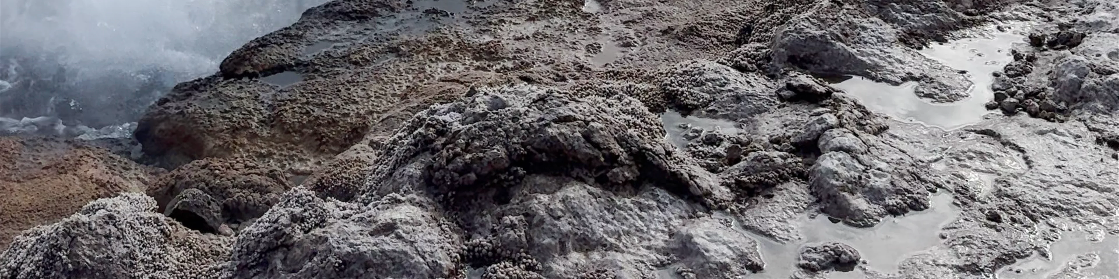 El Tatio - B-245