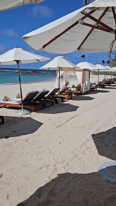 The St. Regis Punta Mita Resort - So peaceful - Hotels Near Me - Punta De Mita, NAY