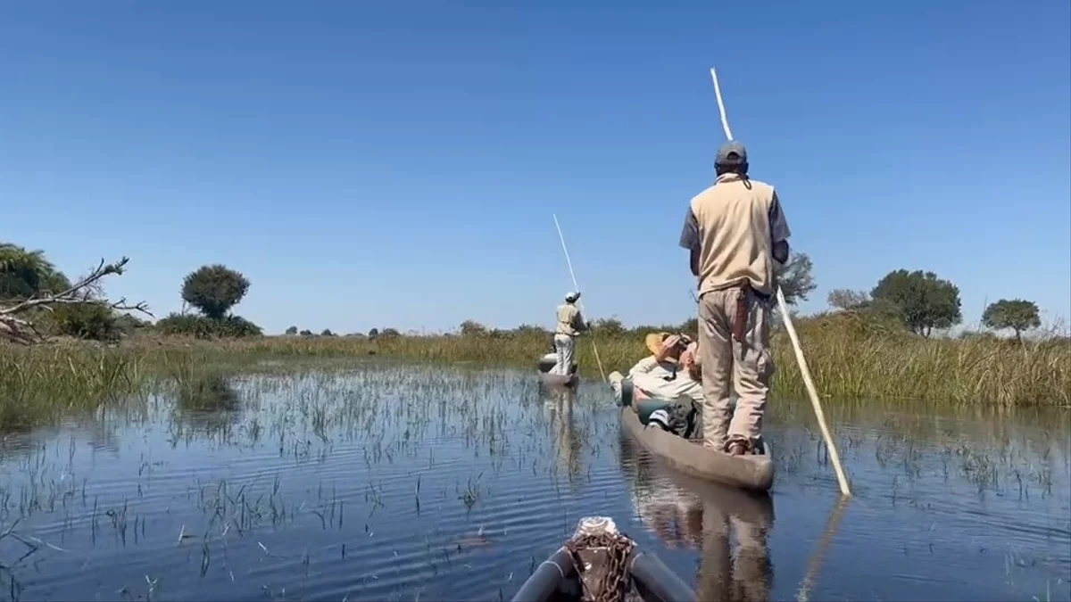 Poling through the channels by mokoro, from the water