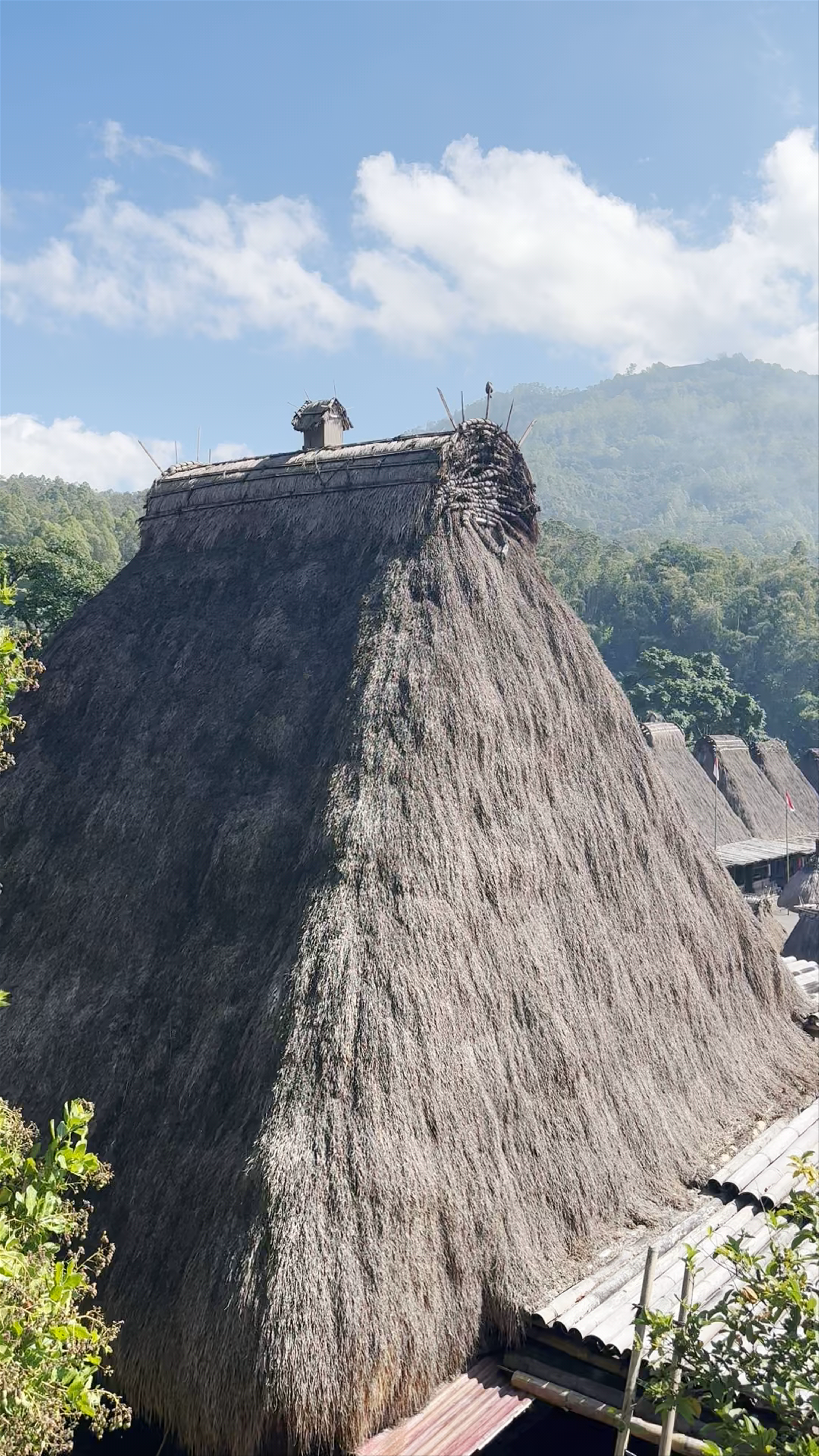 Bena Traditional Village (Thatched Roof Village)