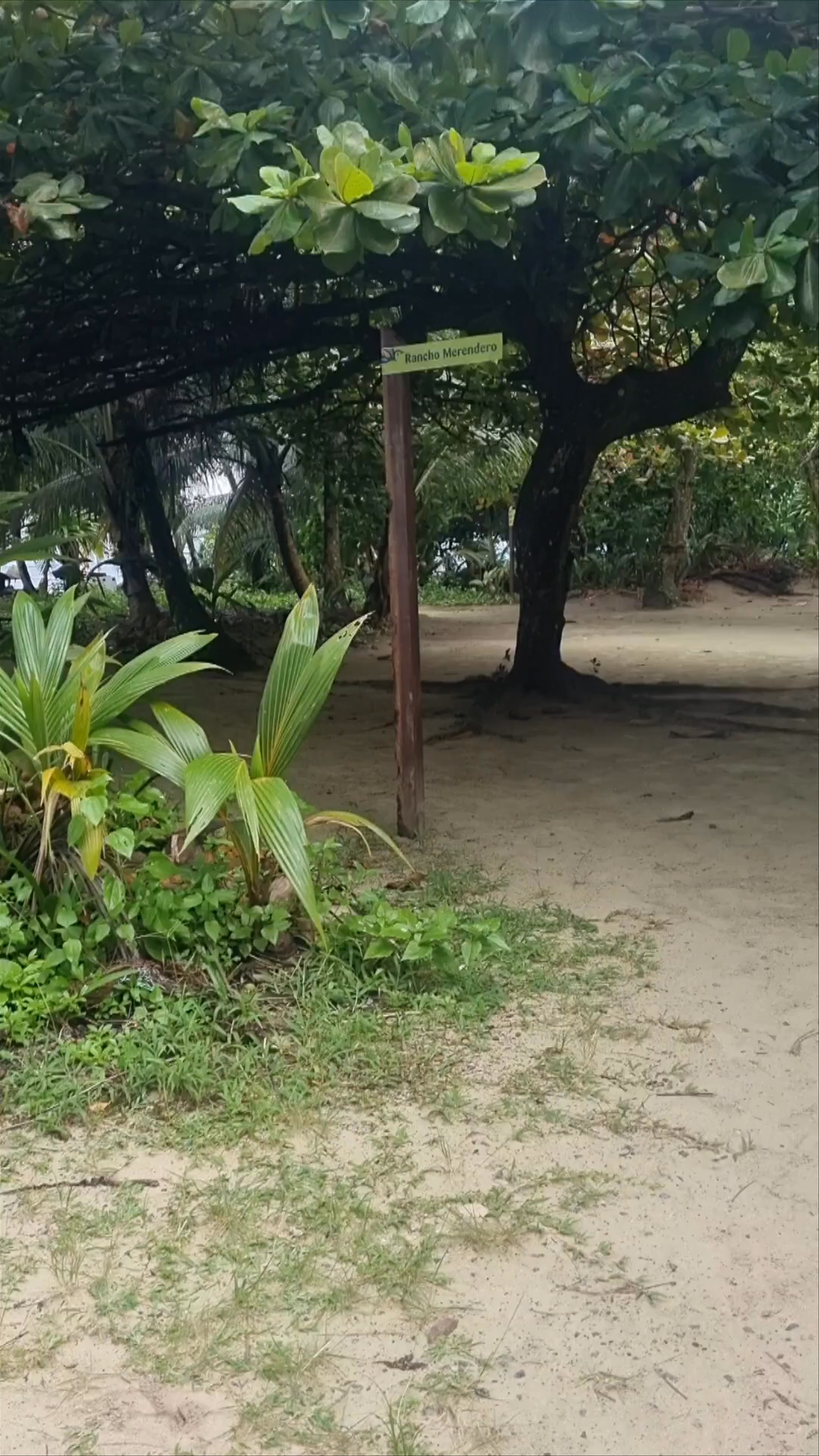 Zapatilla #2: Serene Island Escape in Punta Laurel, Panama