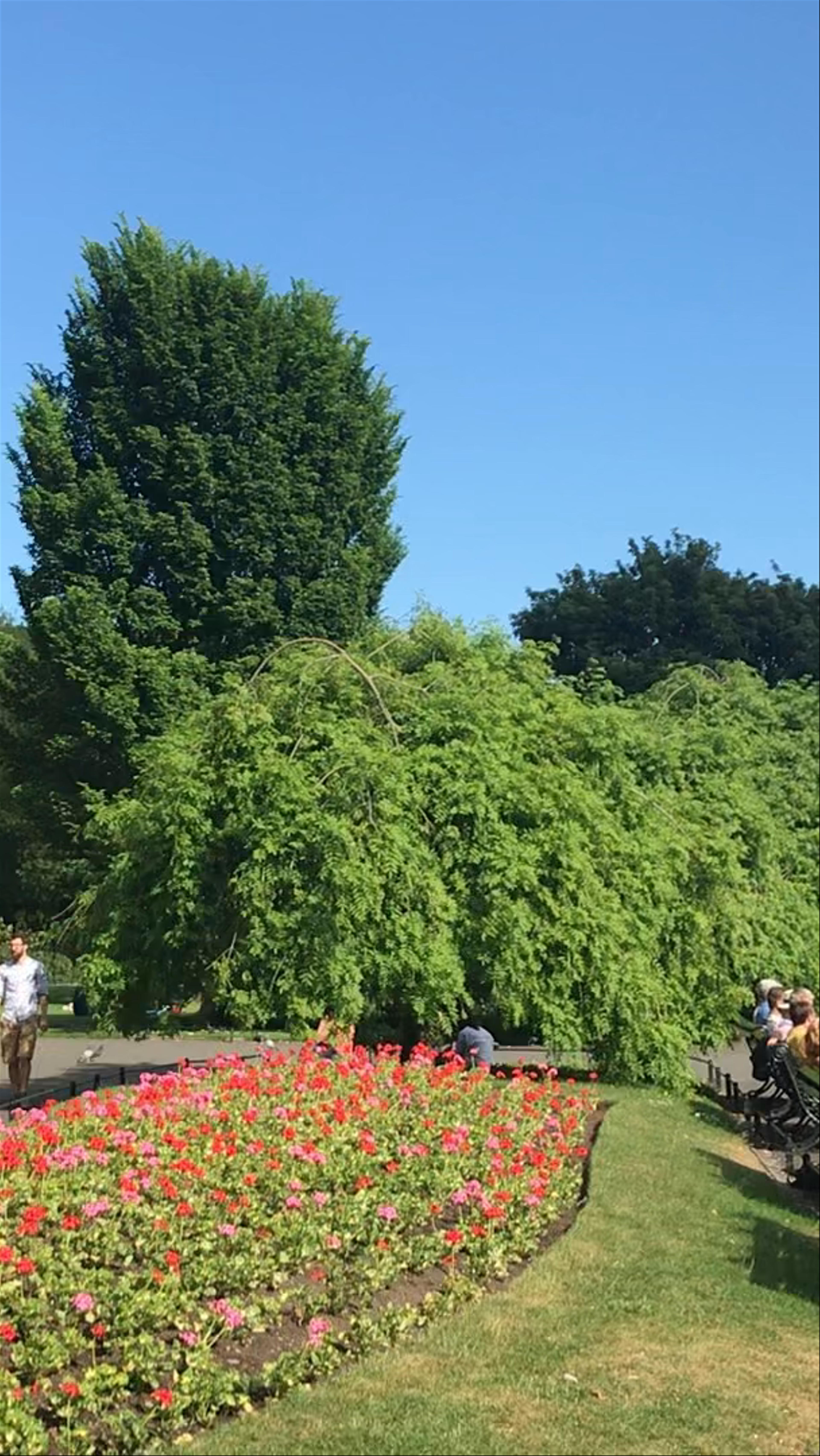 St Stephen's Green: A Serene Urban Garden in Dublin