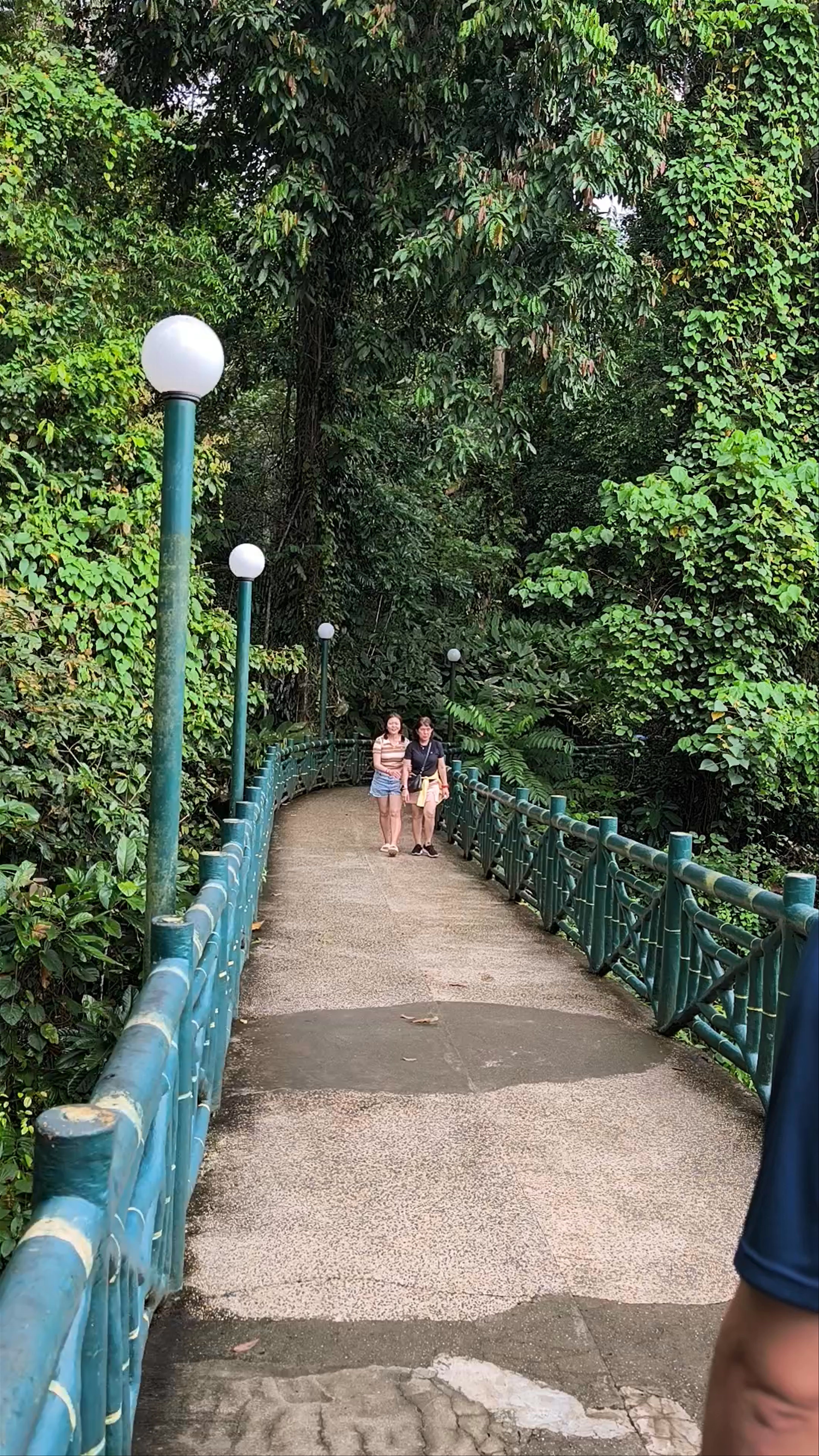 Poring Tropical Garden