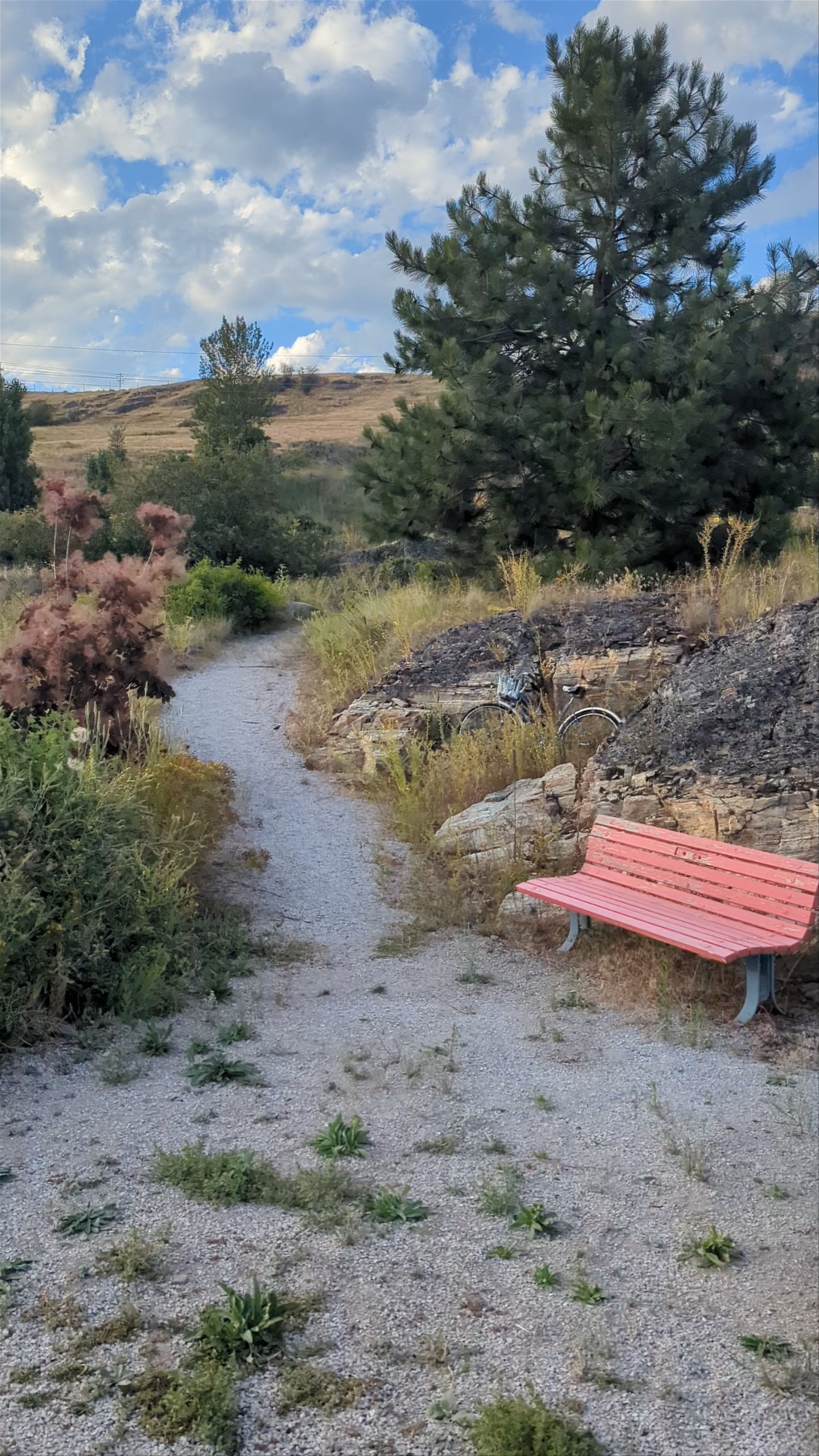 Unique Canvas Luxury Camp