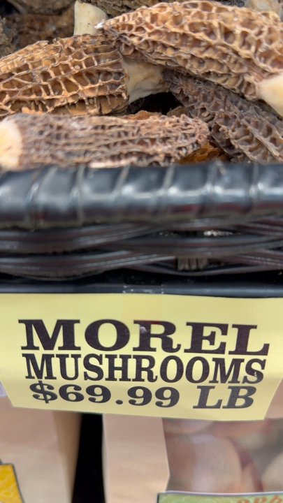Kingma's Market - Morel mushrooms - Fruits & Veggies Near Me - Grand Rapids, Michigan