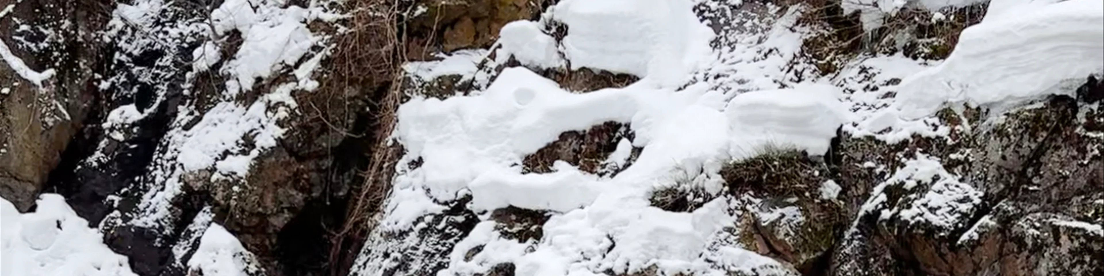 Snow Monkey Park(Jigokudani Yaen Koen)