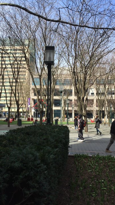 Five Guys - Right in the NYU Tandon campus - Burgers Near Me - Brooklyn, New York
