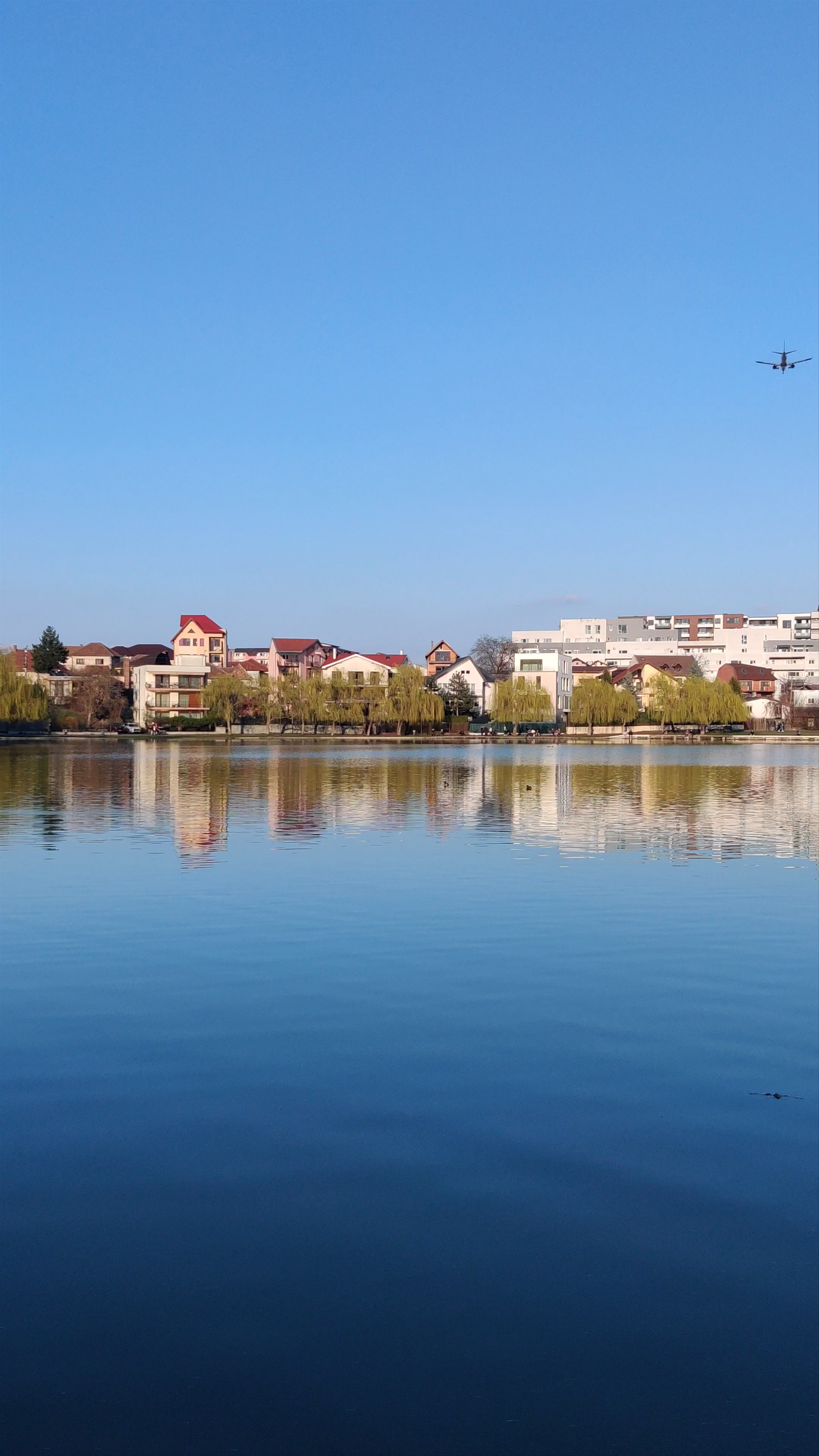 Tranquil Afternoon at Iulius Parc Lake, Cluj-Napoca