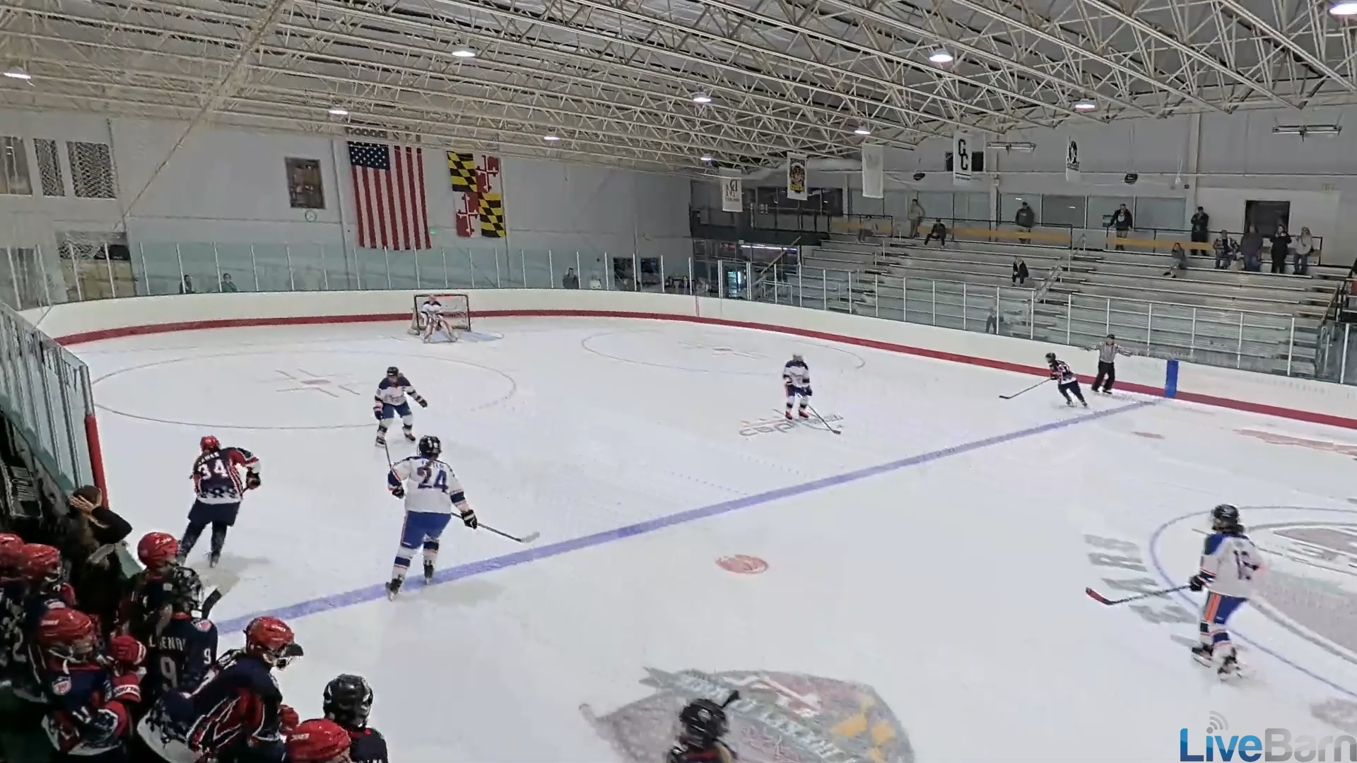Camille Twomey: Highlight Reel of a  Goalie for CAHA 19U