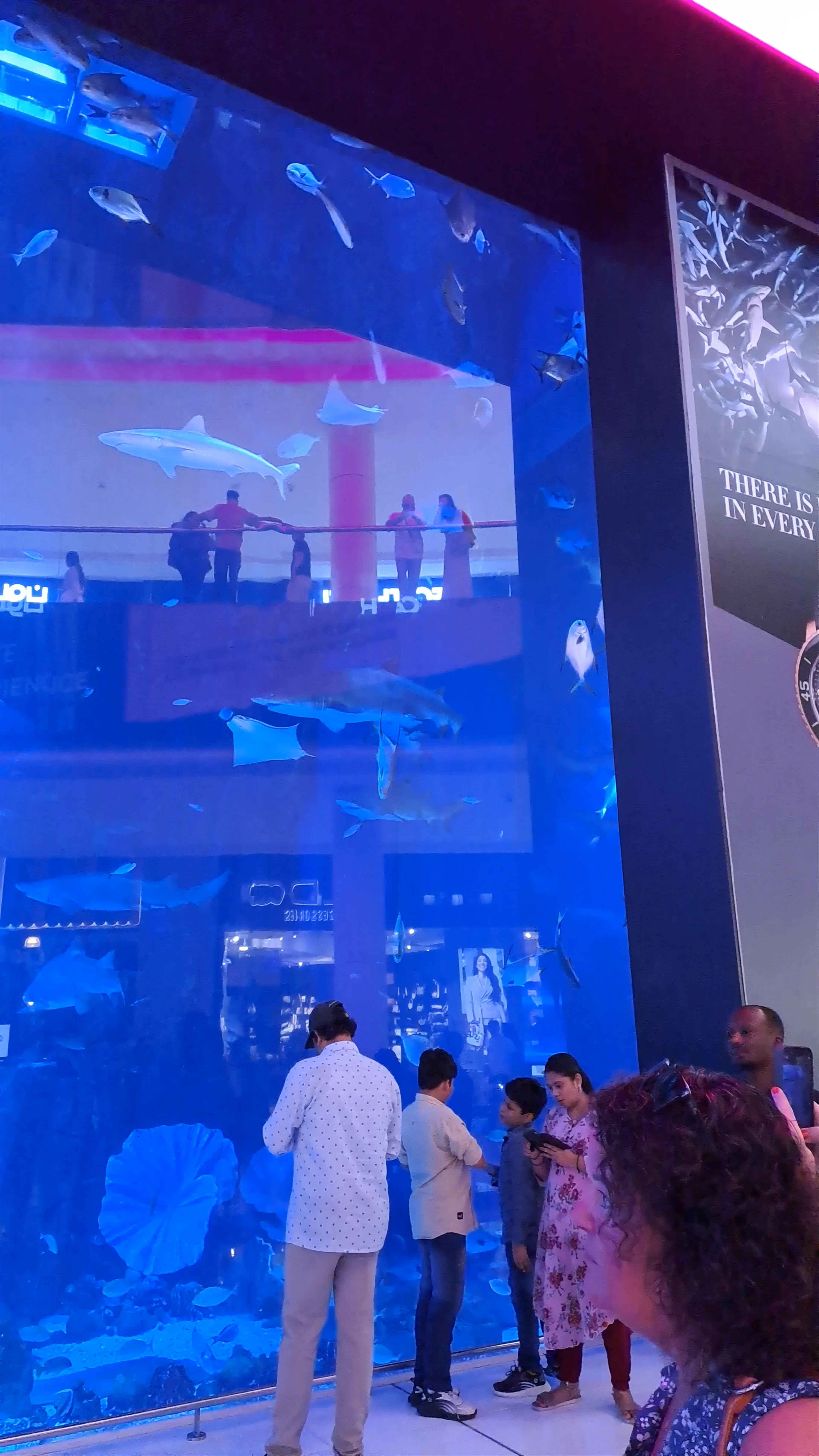 Dubai Aquarium & Underwater Zoo