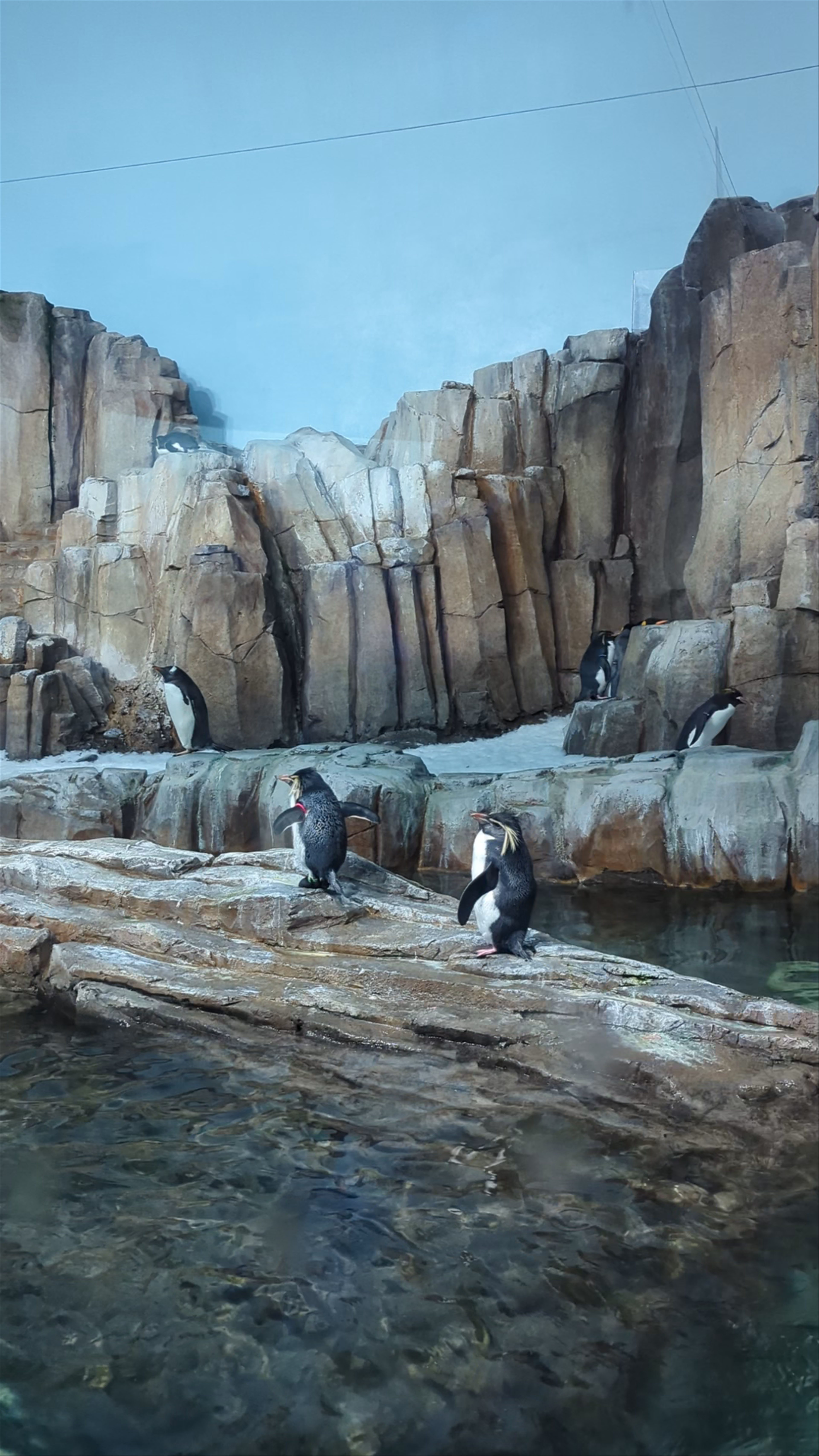 Biodôme de Montréal