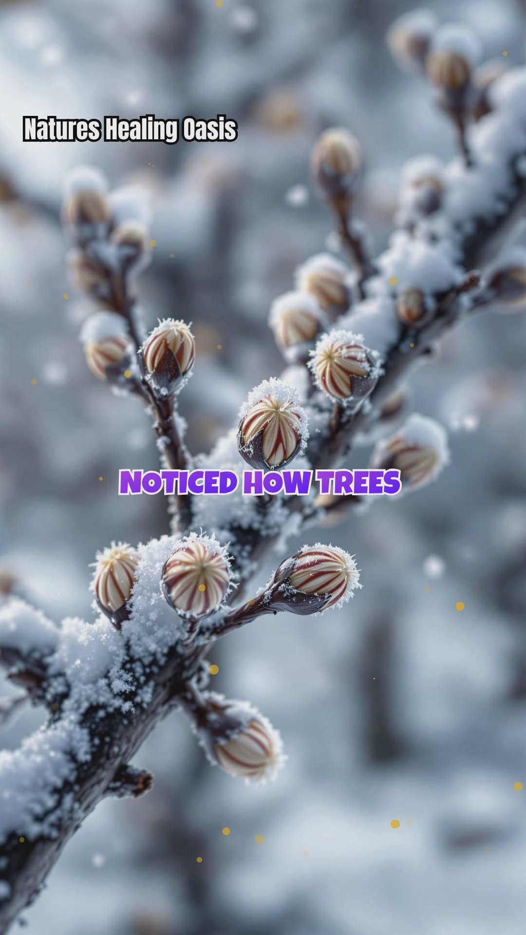 Seasonal Bud Break: Nature’s Metaphor for Emotional Renewal