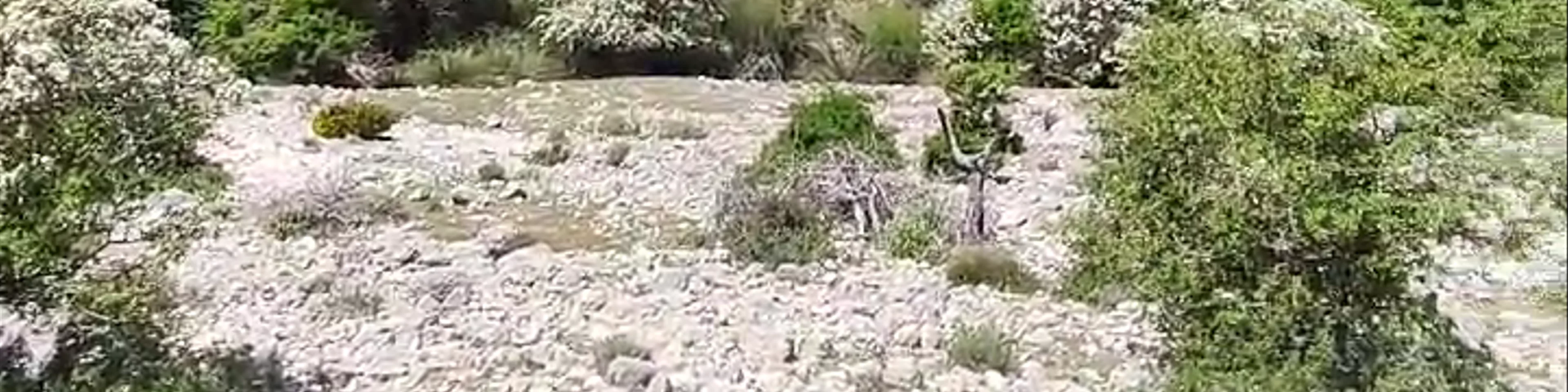 Sierra de Castril Natural Park