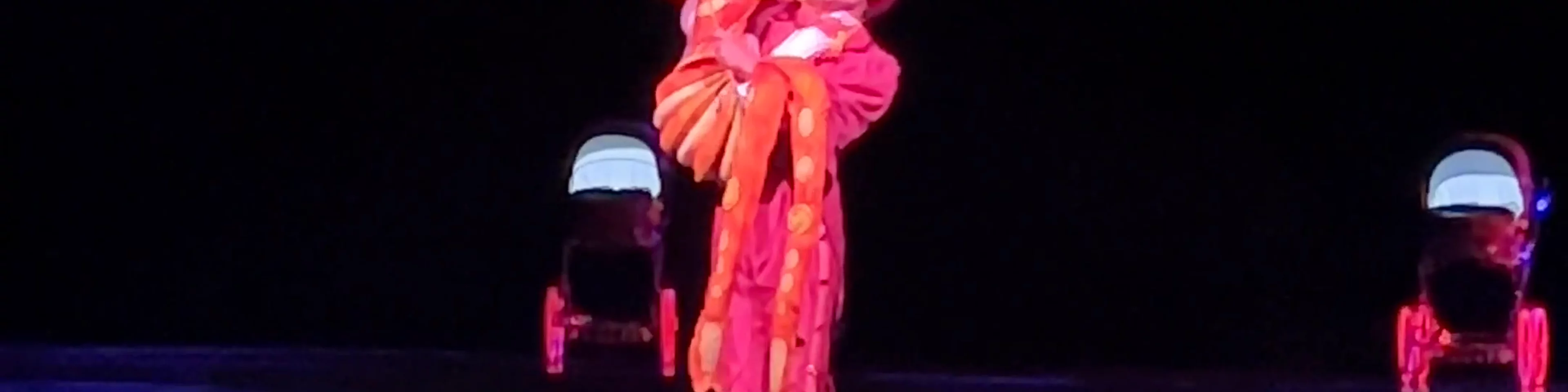 Mystère by Cirque du Soleil