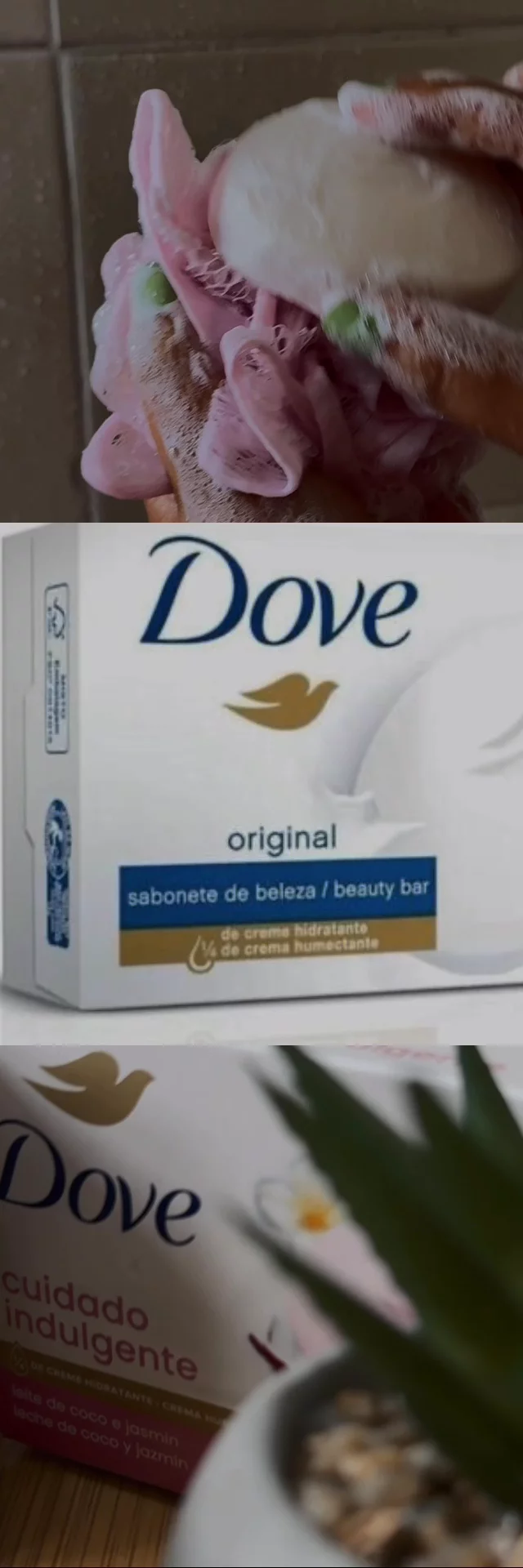 Dove