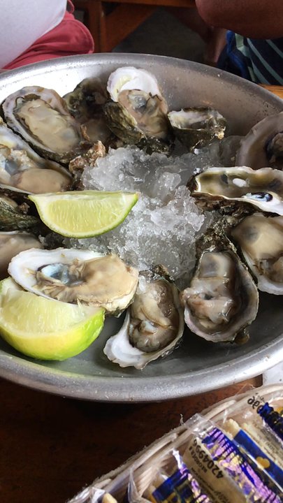 Half Shell Raw Bar - Seafood Near Me - Key West, Florida