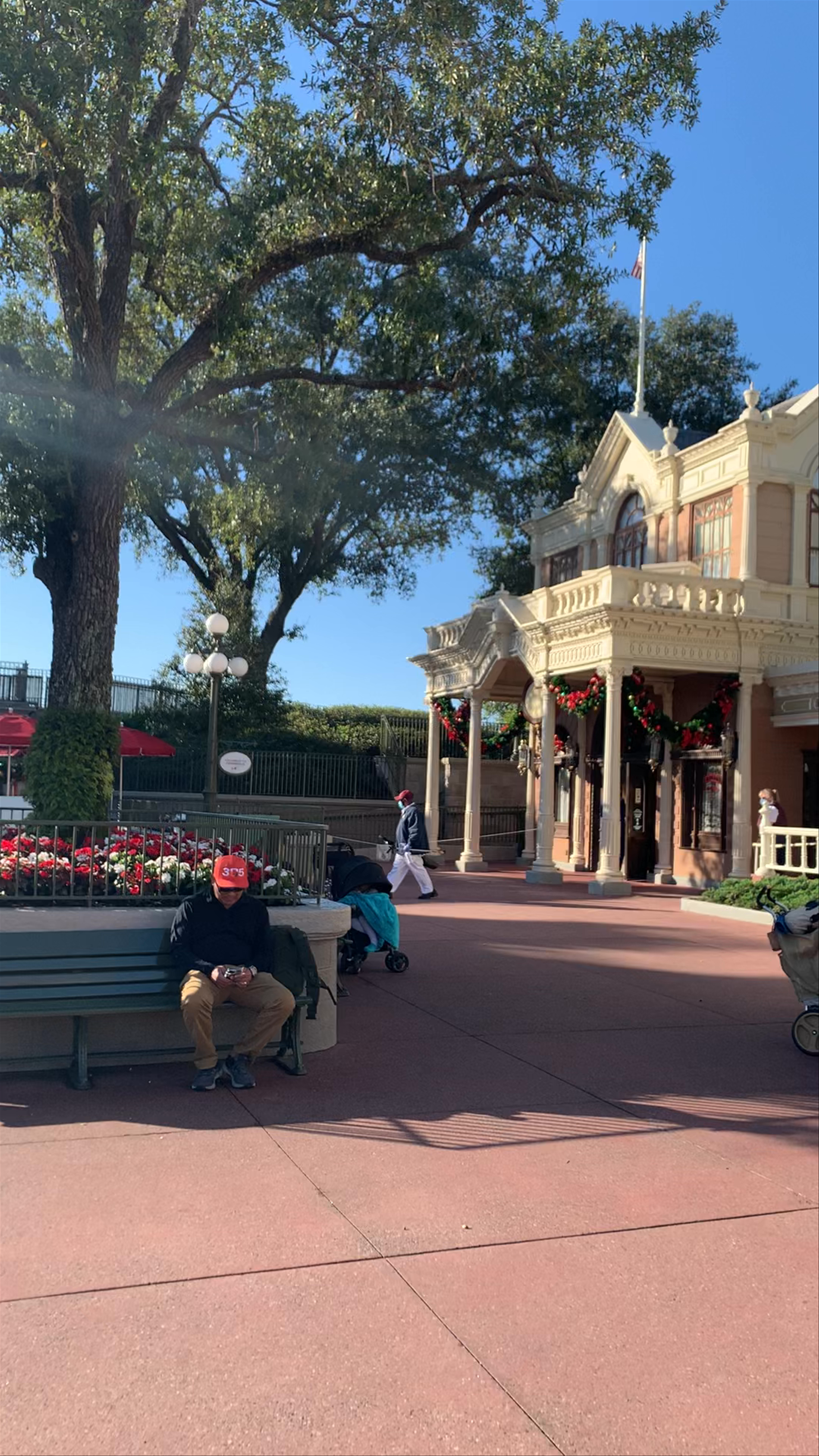 Festive Magic at Walt Disney World® Resort, Orlando, Florida