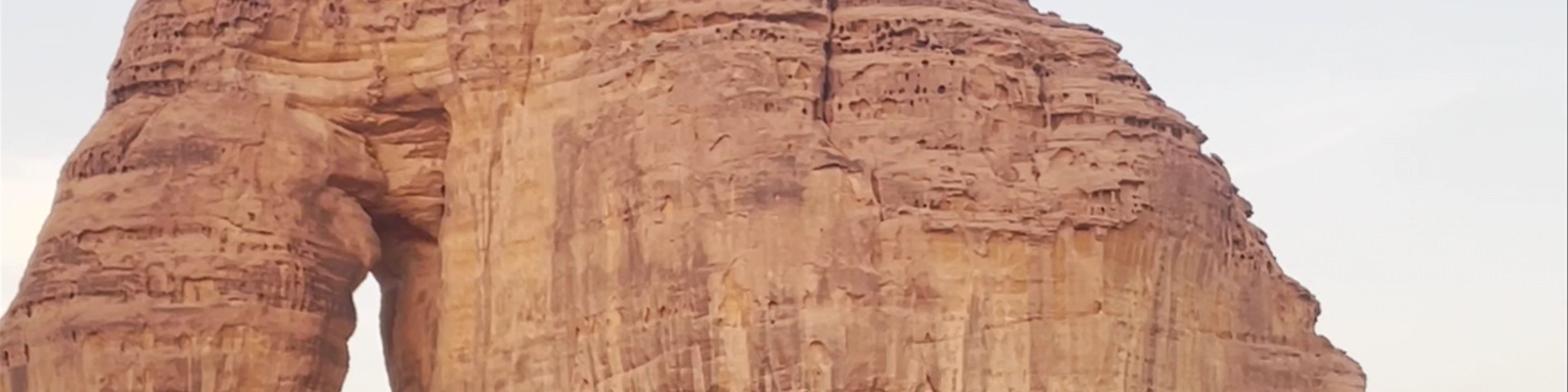 Elephant Mountain