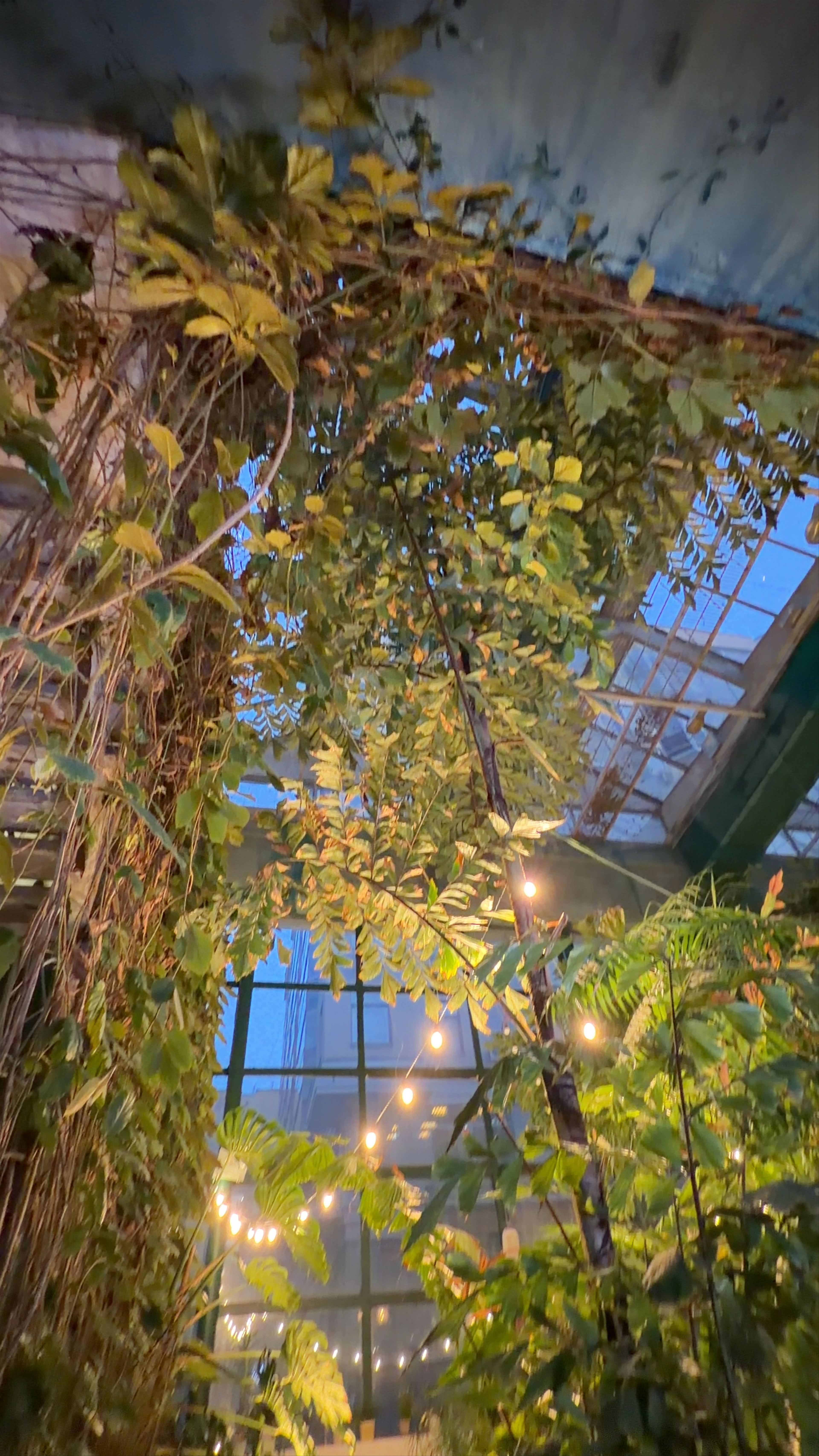 Chocolate Bar Secret Garden