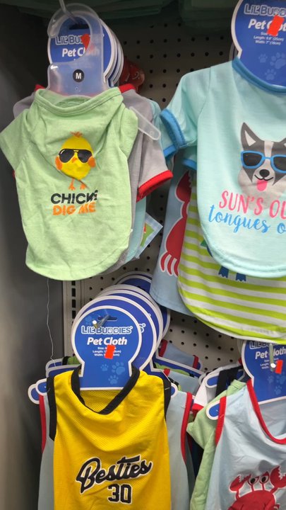 City Bargain - Discount Store Near Me - Colton, California