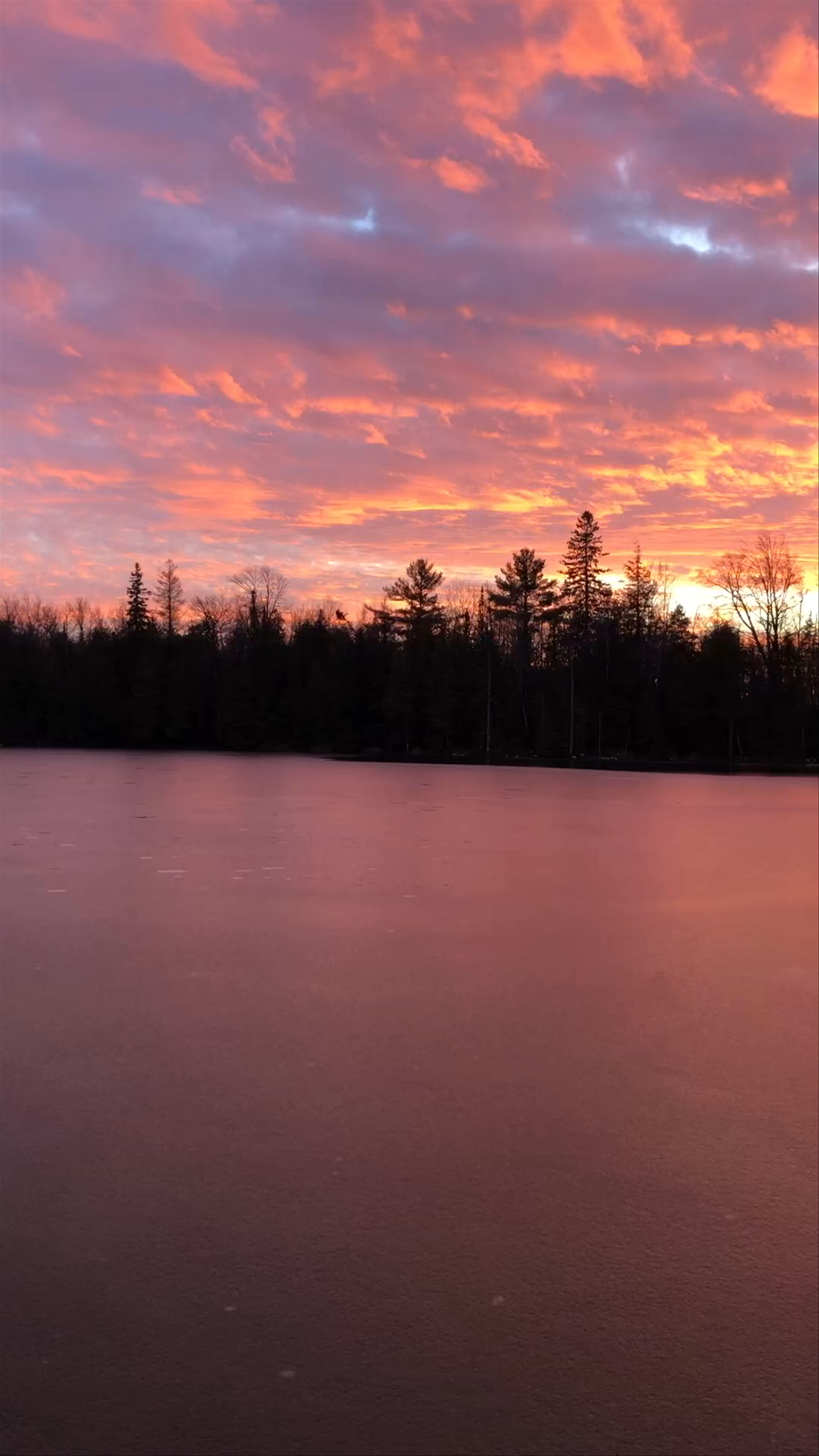 Lakeshore Park