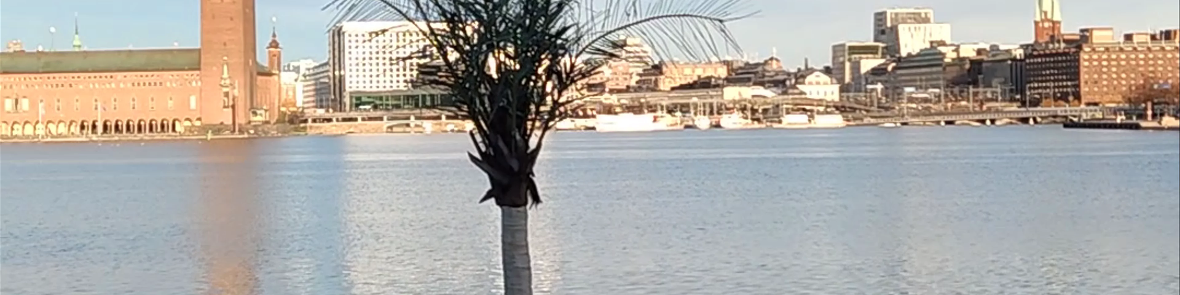 Den Röda Båten