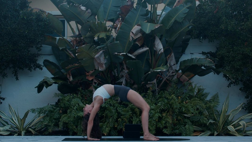 Honey Glow | Day 1: Starting Strong