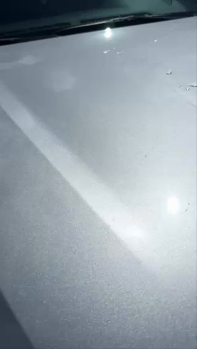 Largo Honda - No ceramic coating. Water doesn't bead off vehicle. - Auto Repair Near Me - Florida City, Florida