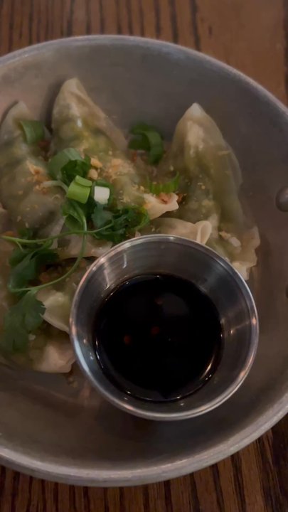 Thailicious - Vegetable Dumplings - Thai Near Me - New York, New York