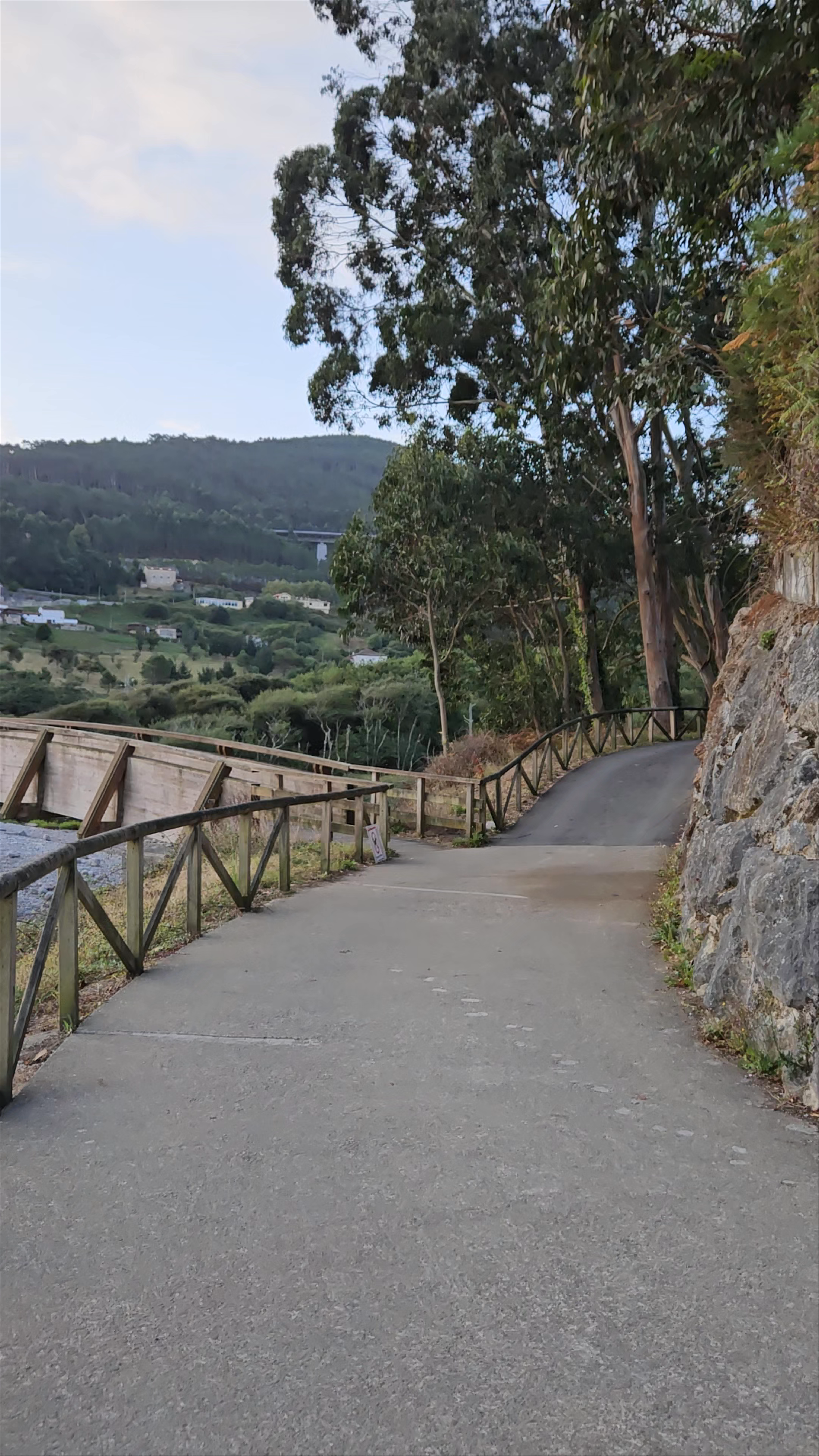 Playa de la Concha de Artedo