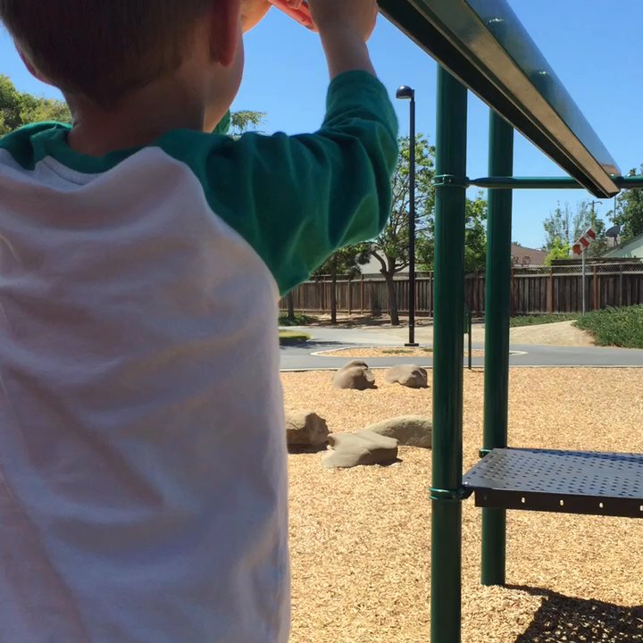 Pinewood Park - Playgrounds Near Me - Milpitas, California