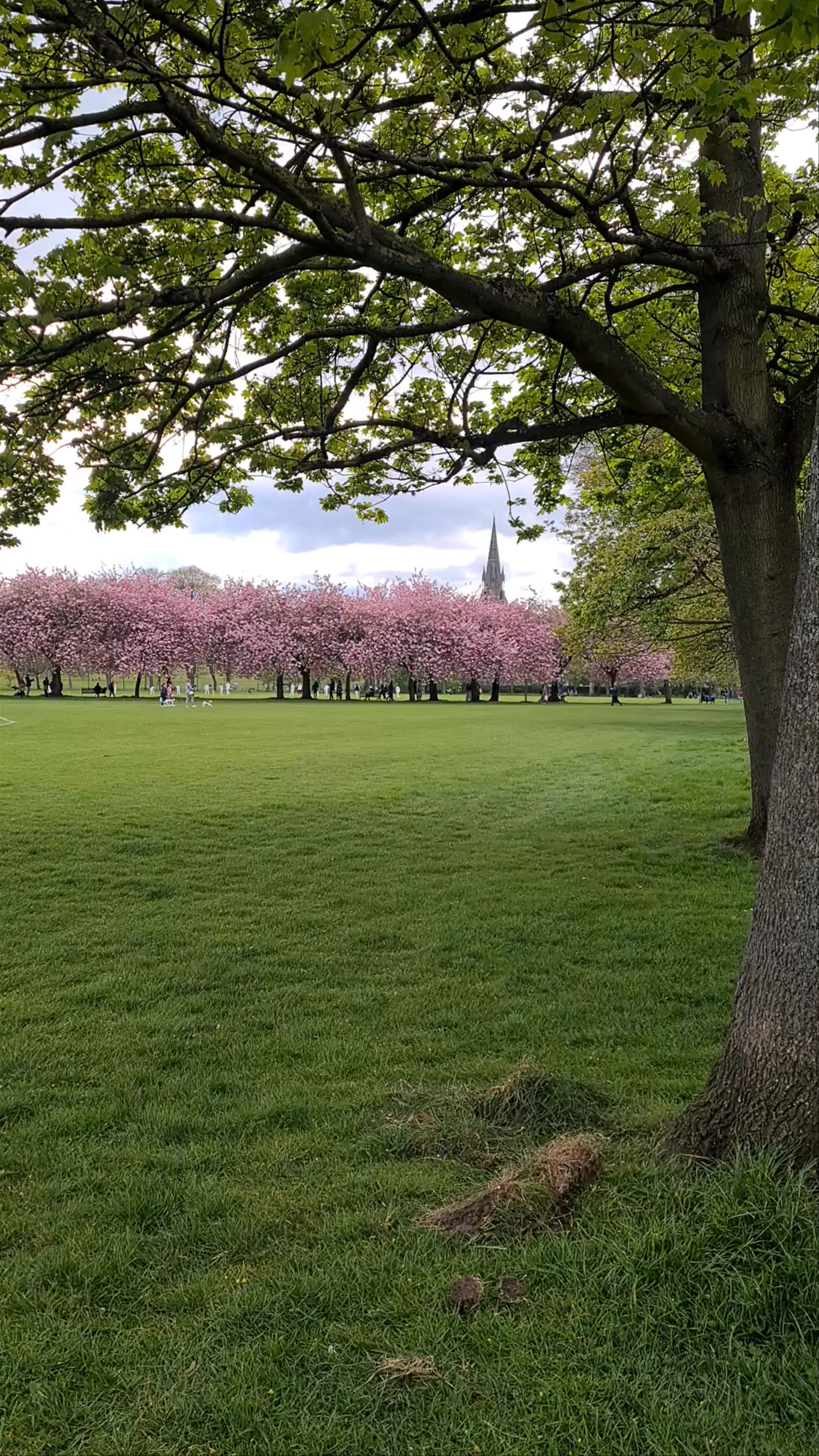 The Meadows, Melville Drive, Edinburgh, UK