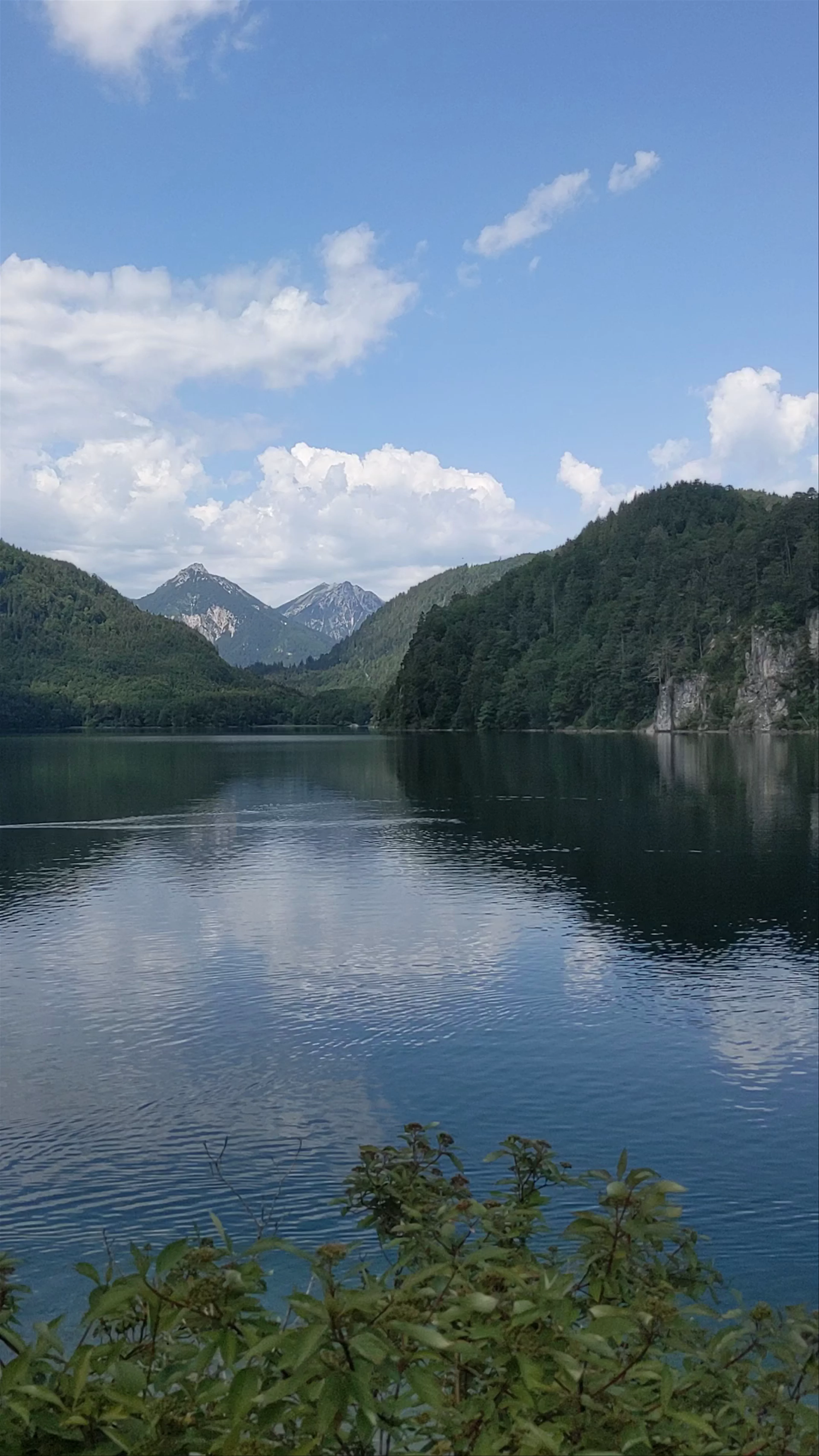 Alpsee