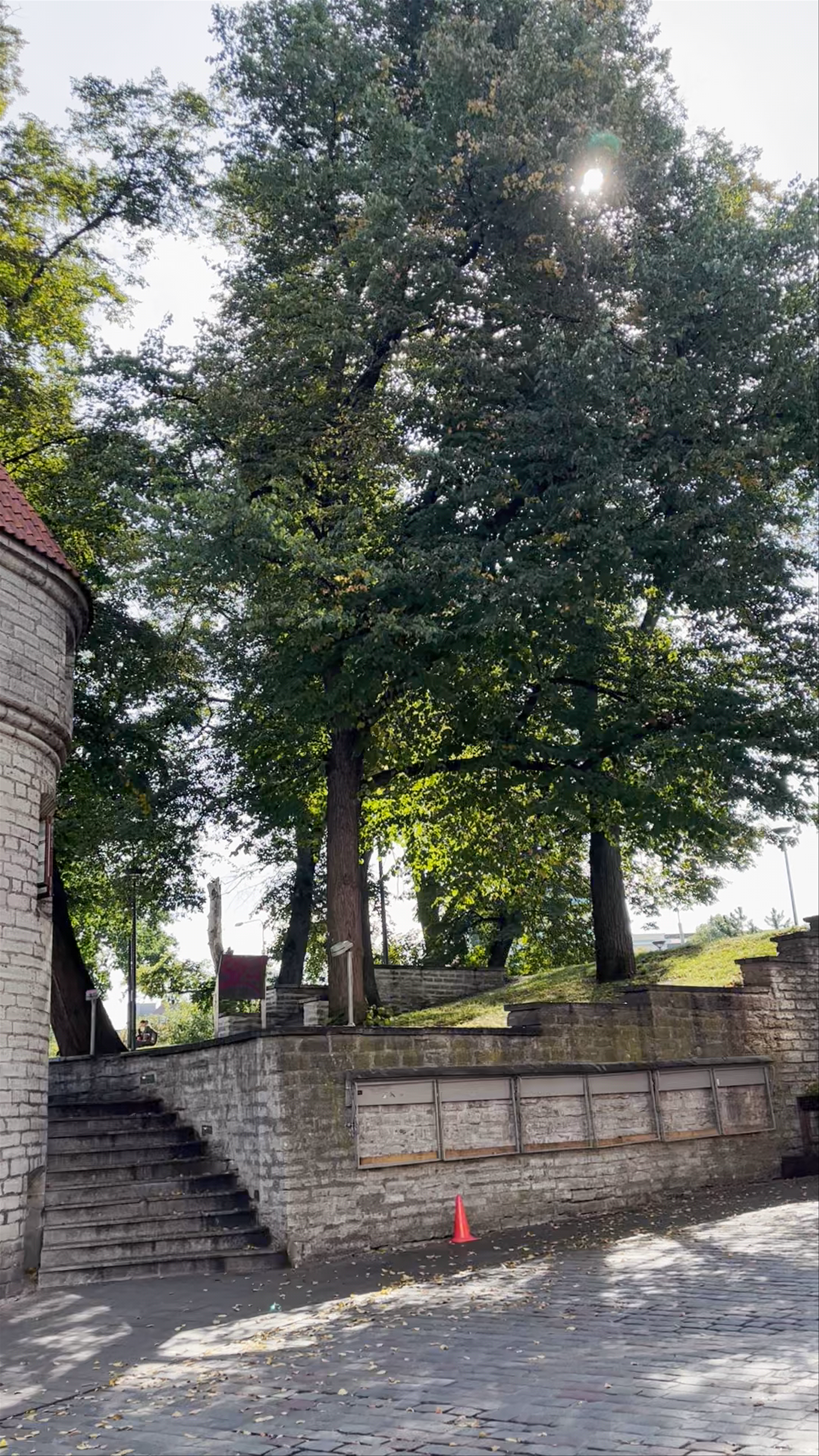 Exploring Viru Gate: Historic Gateway in Tallinn