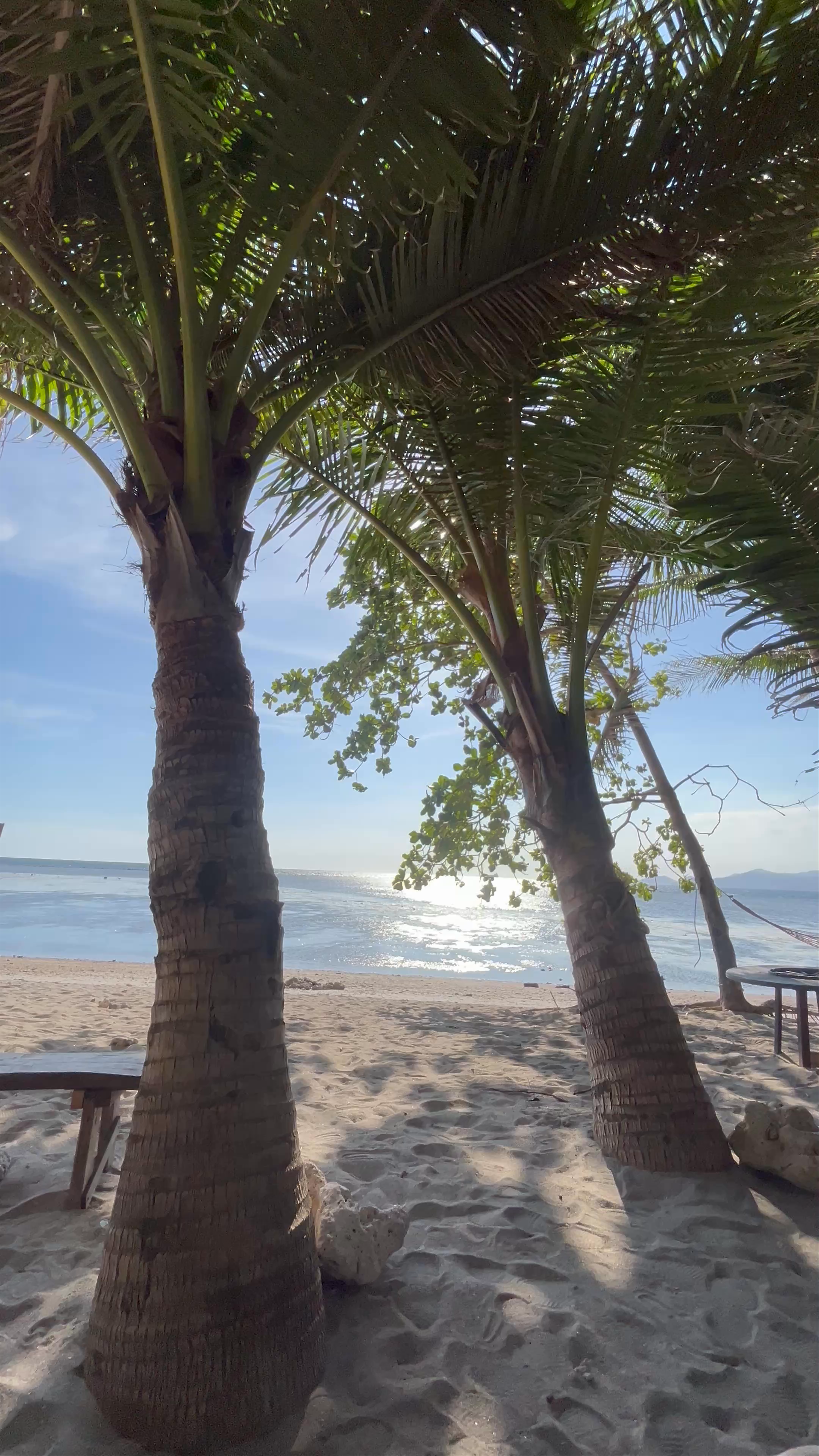 Consorcia's Sand and Sea Resort