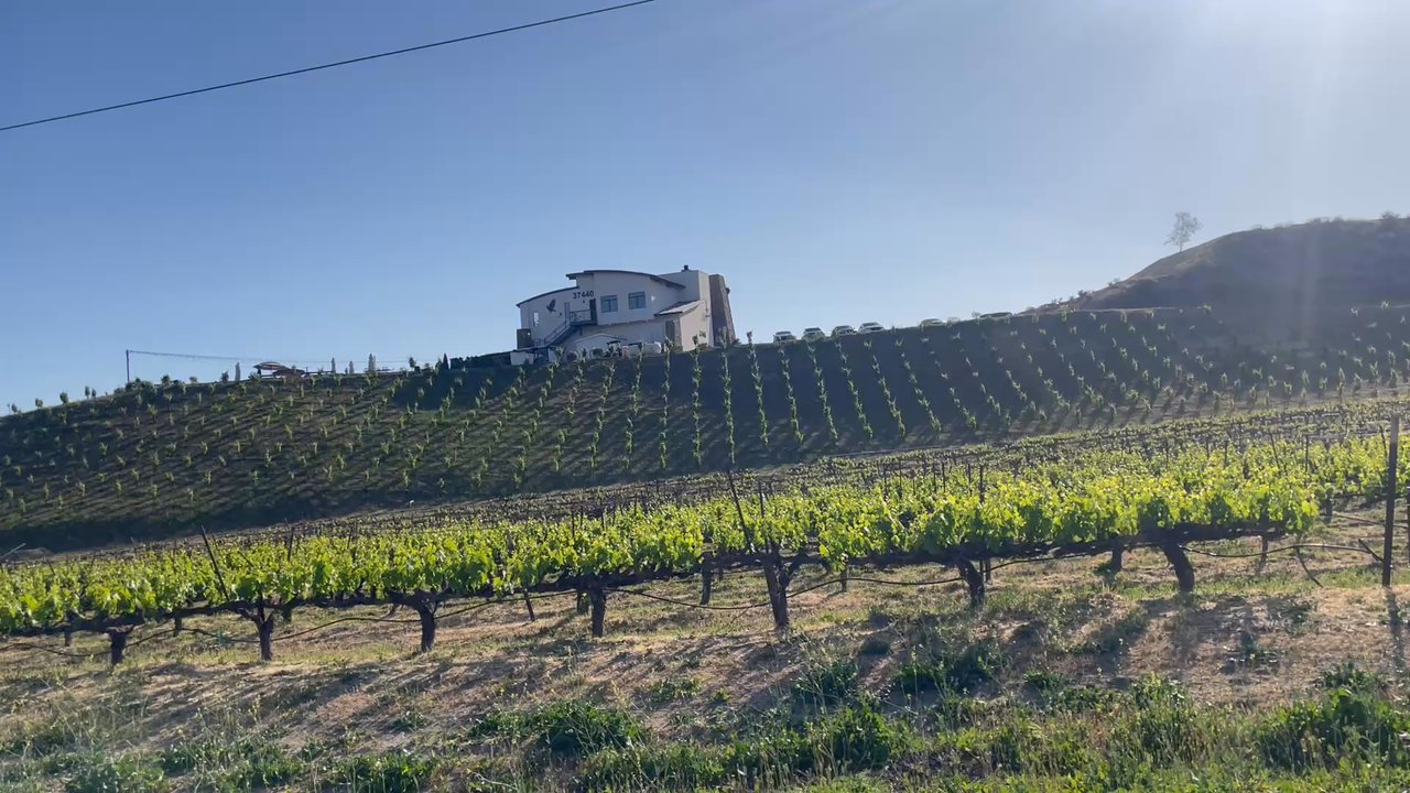 De Portola Wine Trail - Another beautiful day in wine country. - Wineries Near Me - Temecula, California