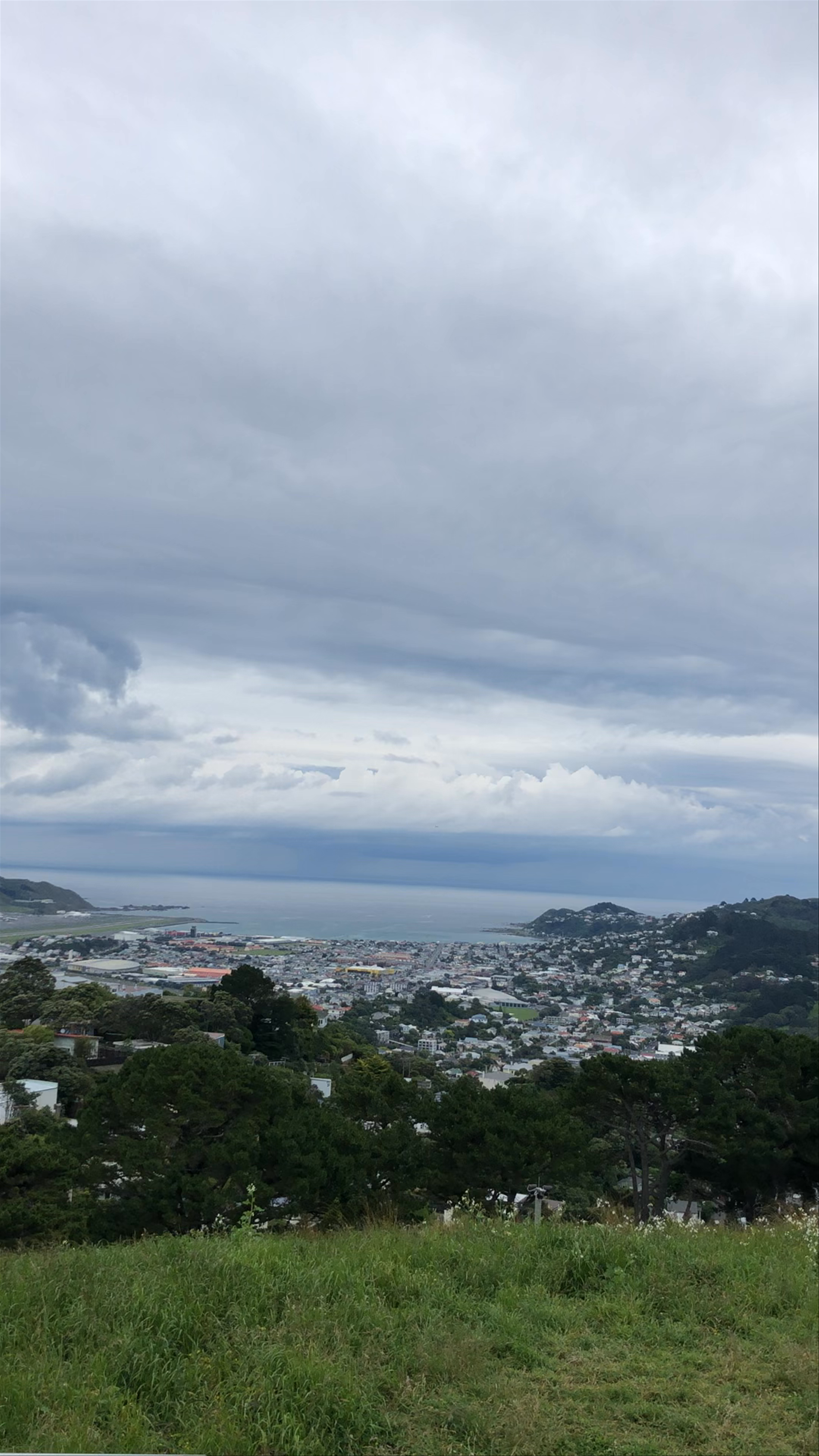 Mount Victoria Lookout: Panoramic Views Over Wellington City