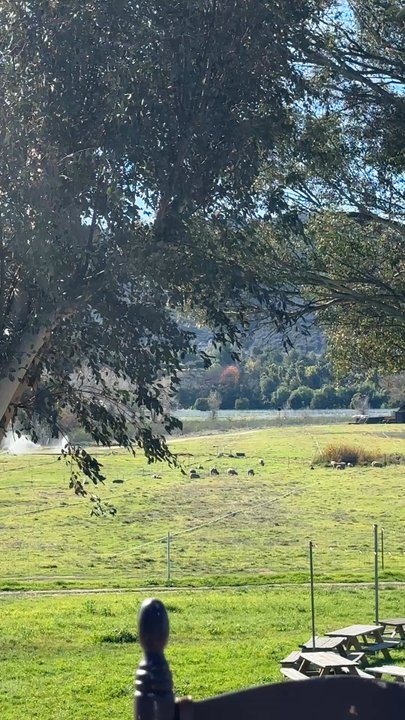 Primal Pastures - So serene and tranquil! - CSA Near Me - Murrieta, California