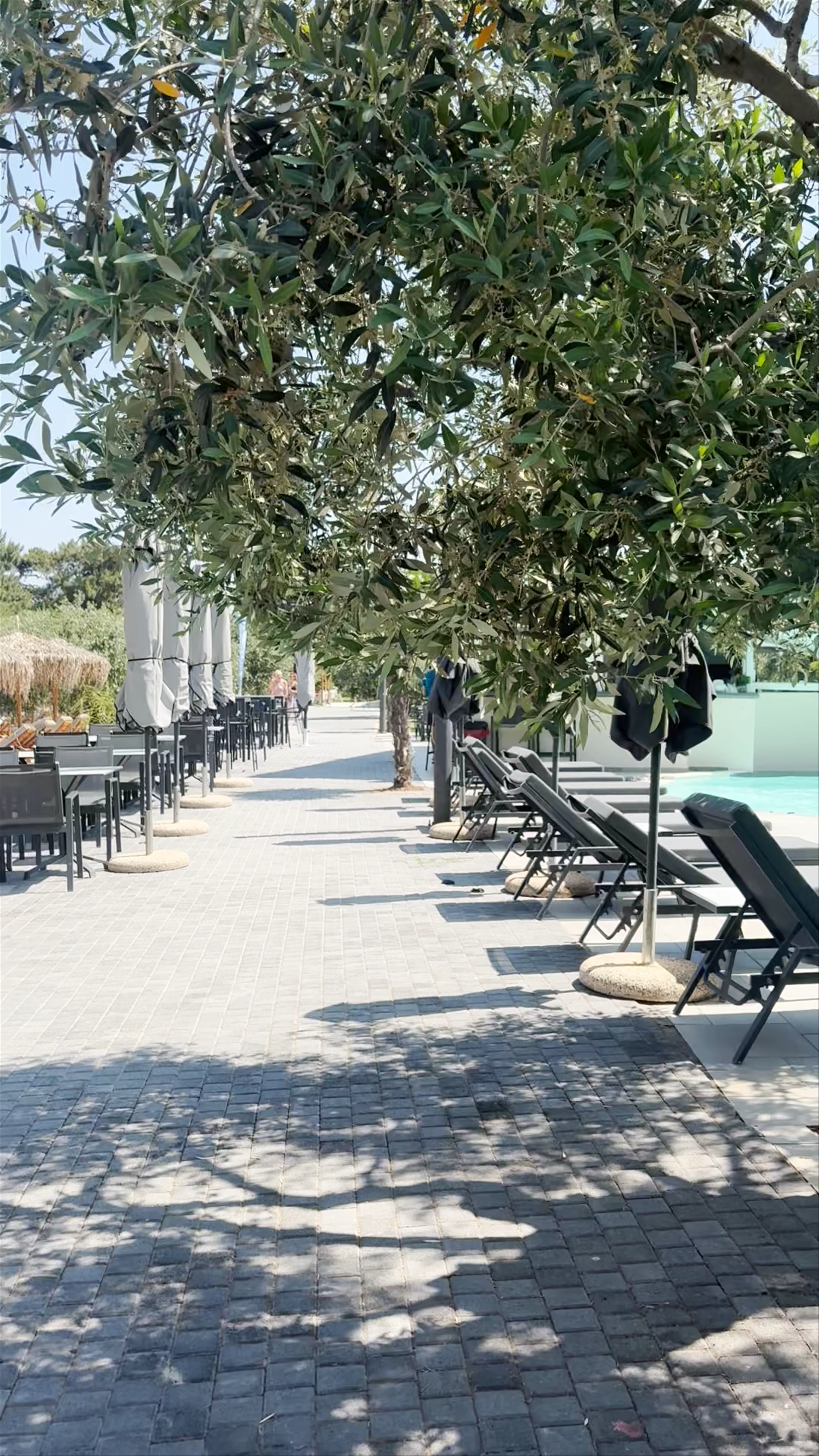 Sentido Beach Bar, Thasos, Greece