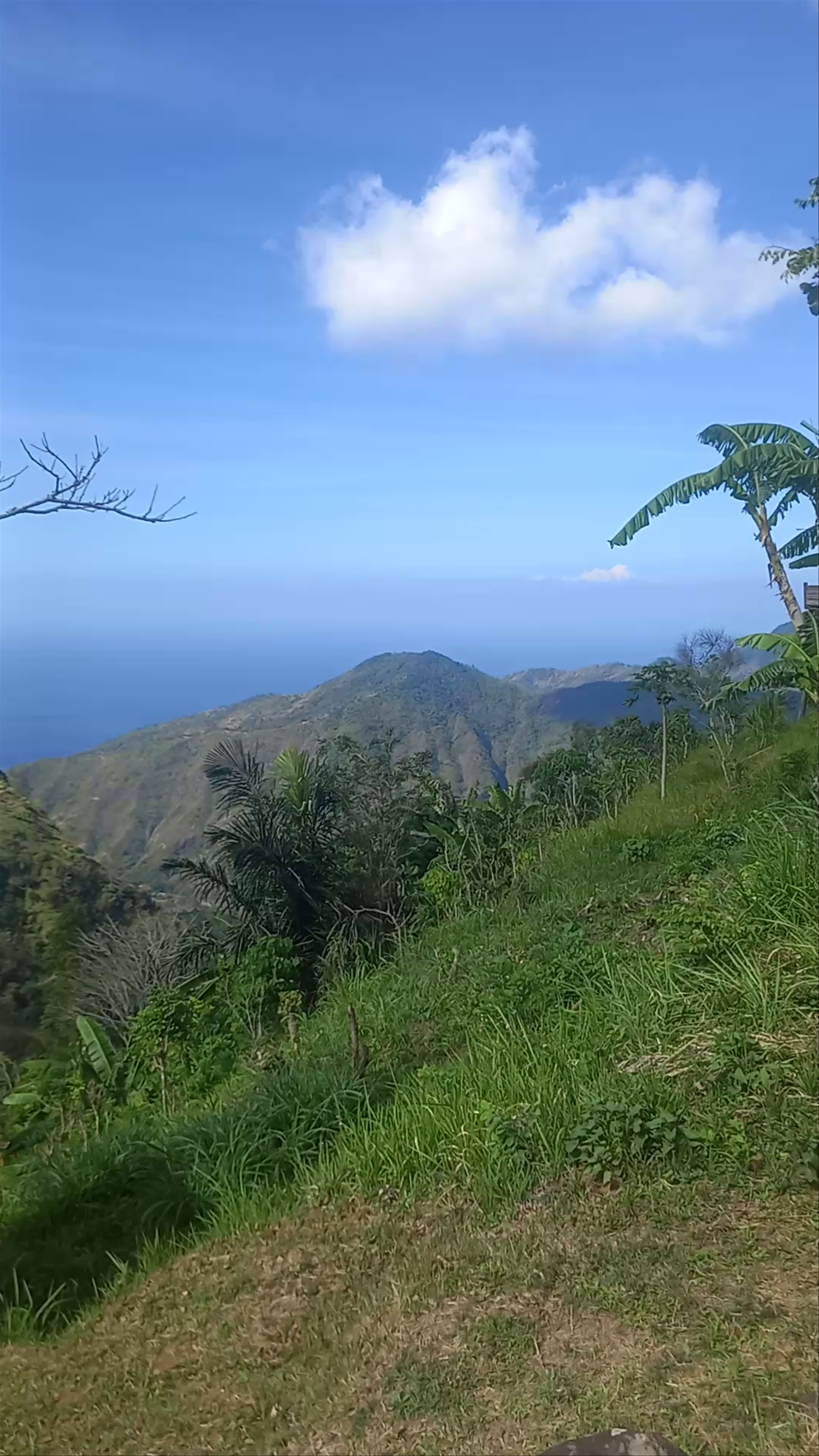 Lahangan Sweet: Scenic Mountain Escape in Bali