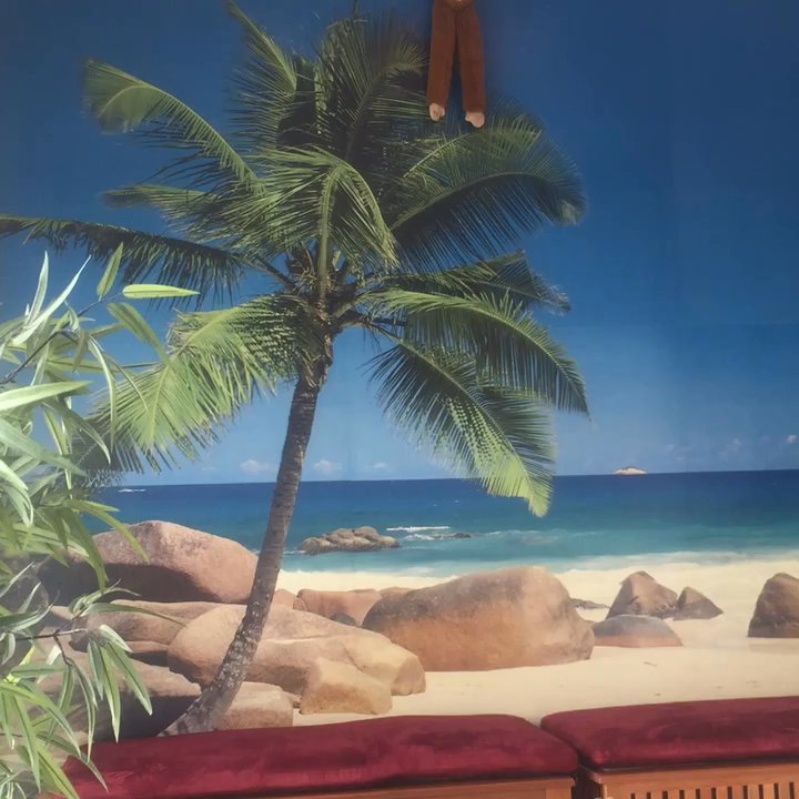Walden Yu, DDS, APC - Waiting room. - Pediatric Dentists Near Me - Culver City, California