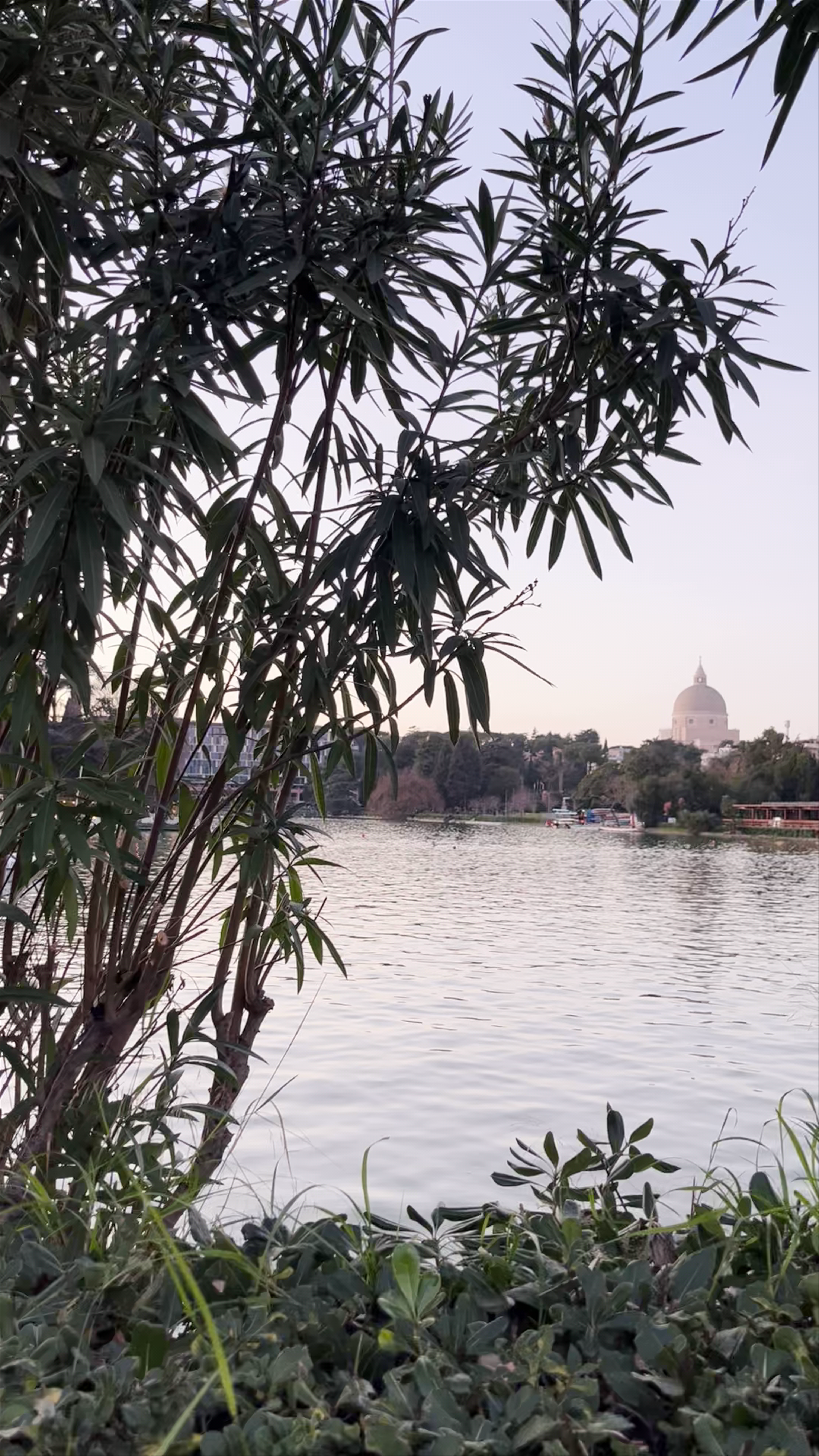 Tranquil Evening at Parco del Lago dell'EUR in Rome
