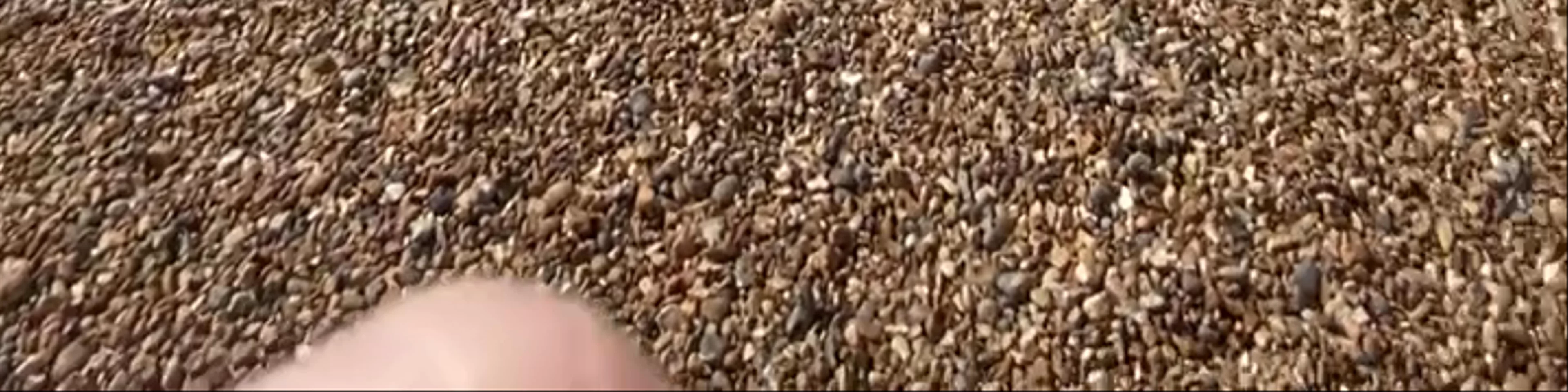 Brighton Beach