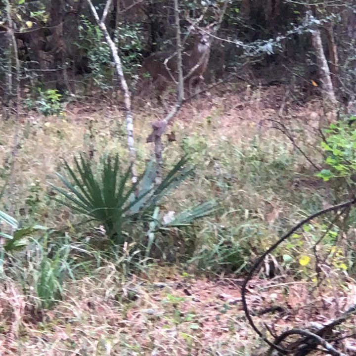 Imperial Oaks Recreation Park - Dog Parks Near Me - Spring, Texas