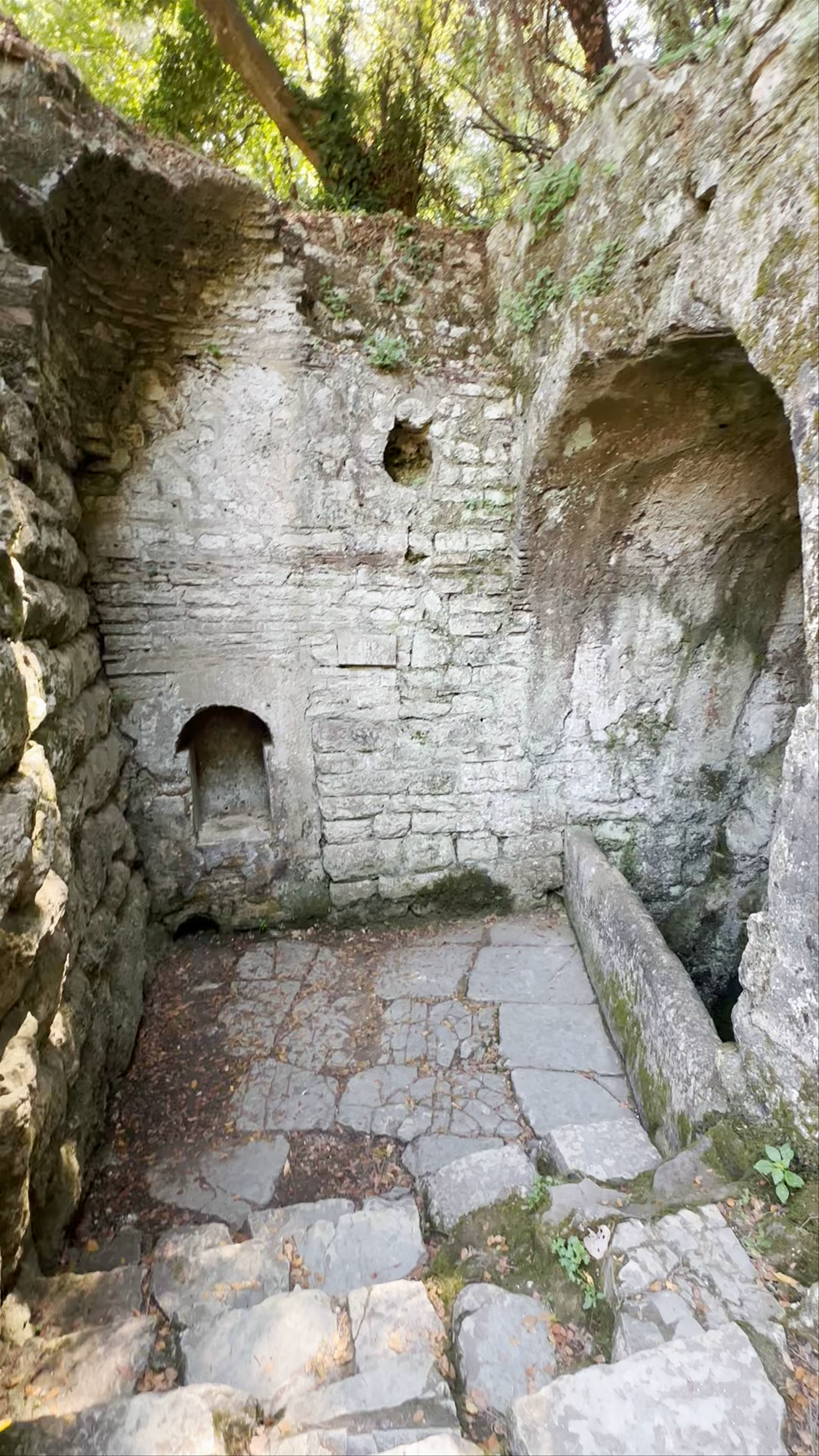 Lion’s Gate