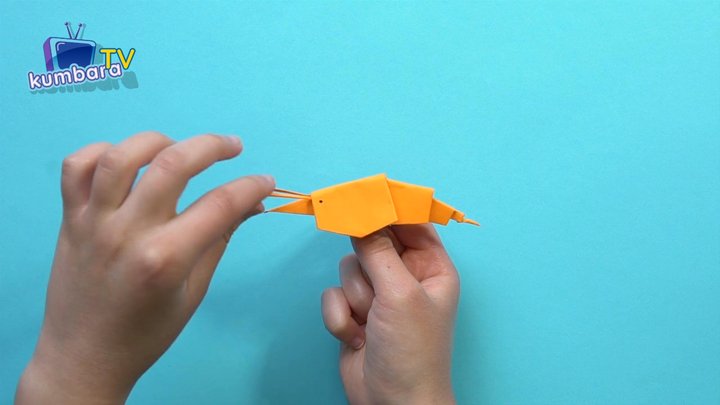 thumbnail.jpg?width=720&time=115 Origami Karides