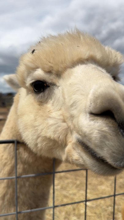 Back-to-Eden Ranch - Attraction Farms Near Me - Gilroy, California